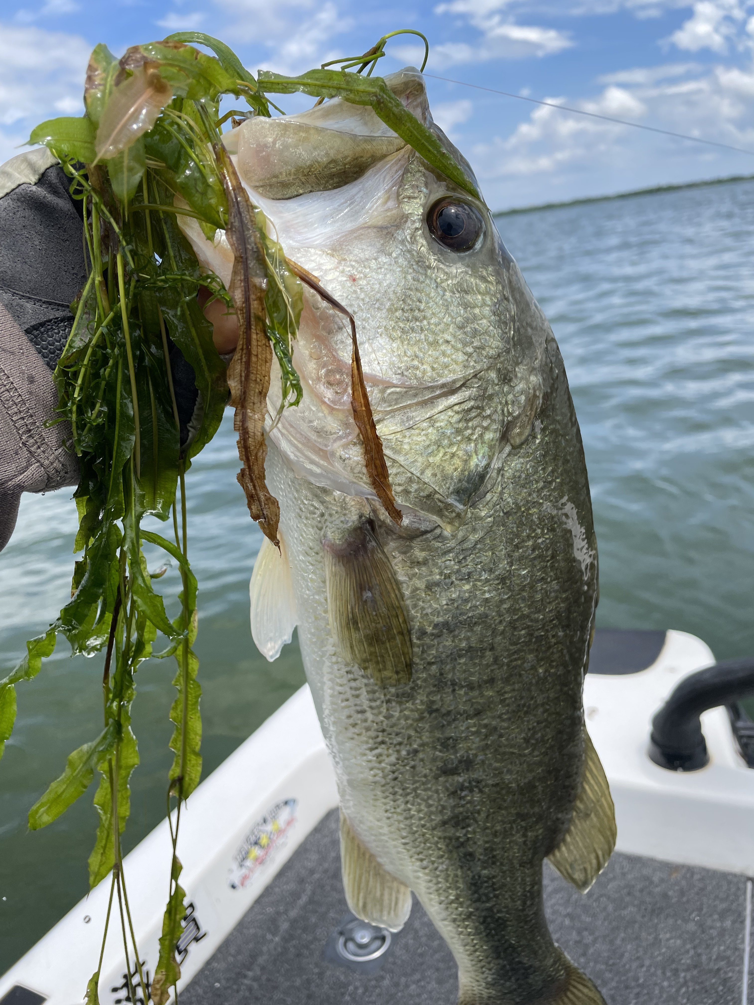 944FA6FC-82A1-4AF4-B2D7-4FAA9A0AC7D1