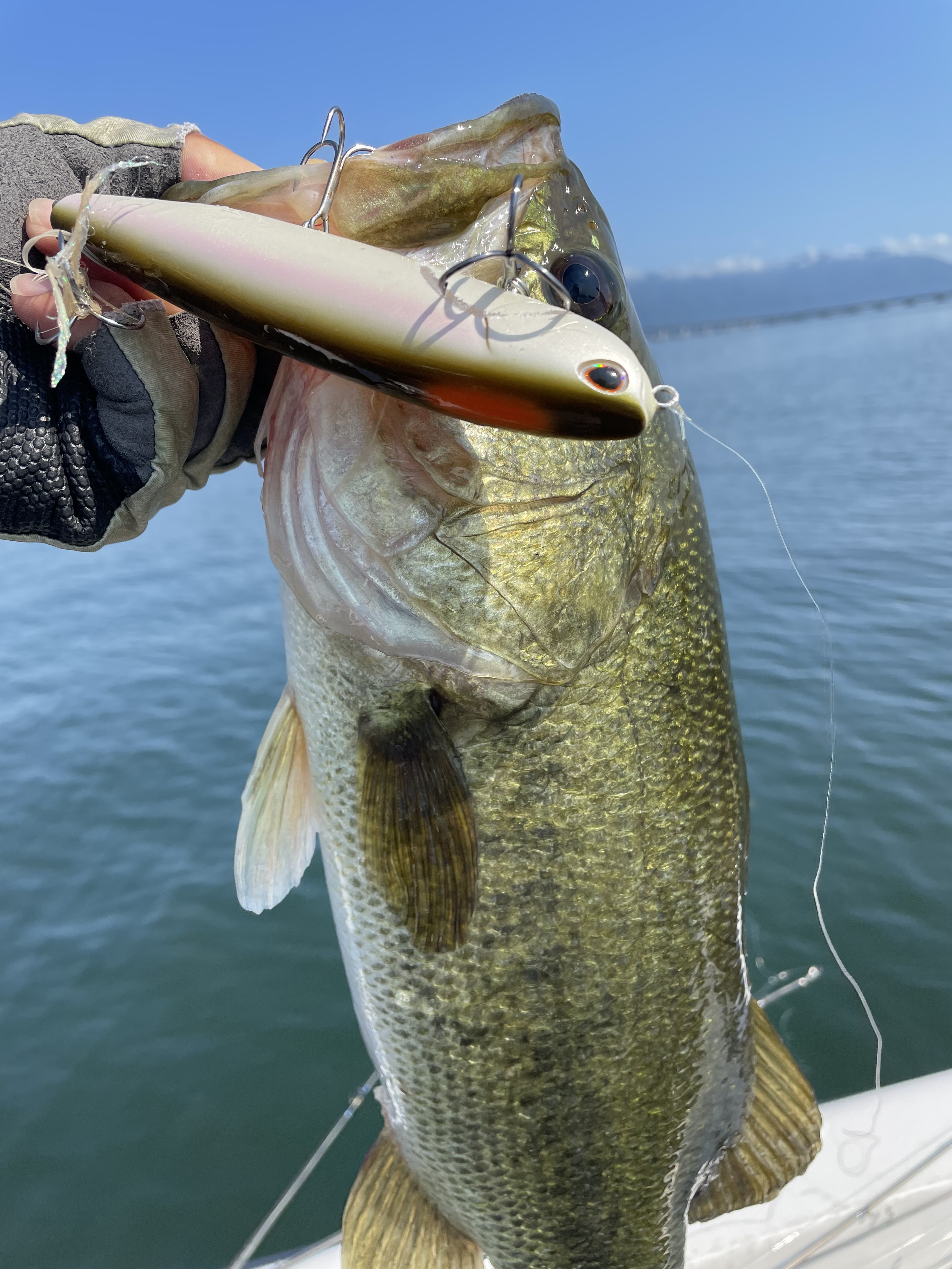 A1BC155E-AE38-4698-81BF-84AF4791326E