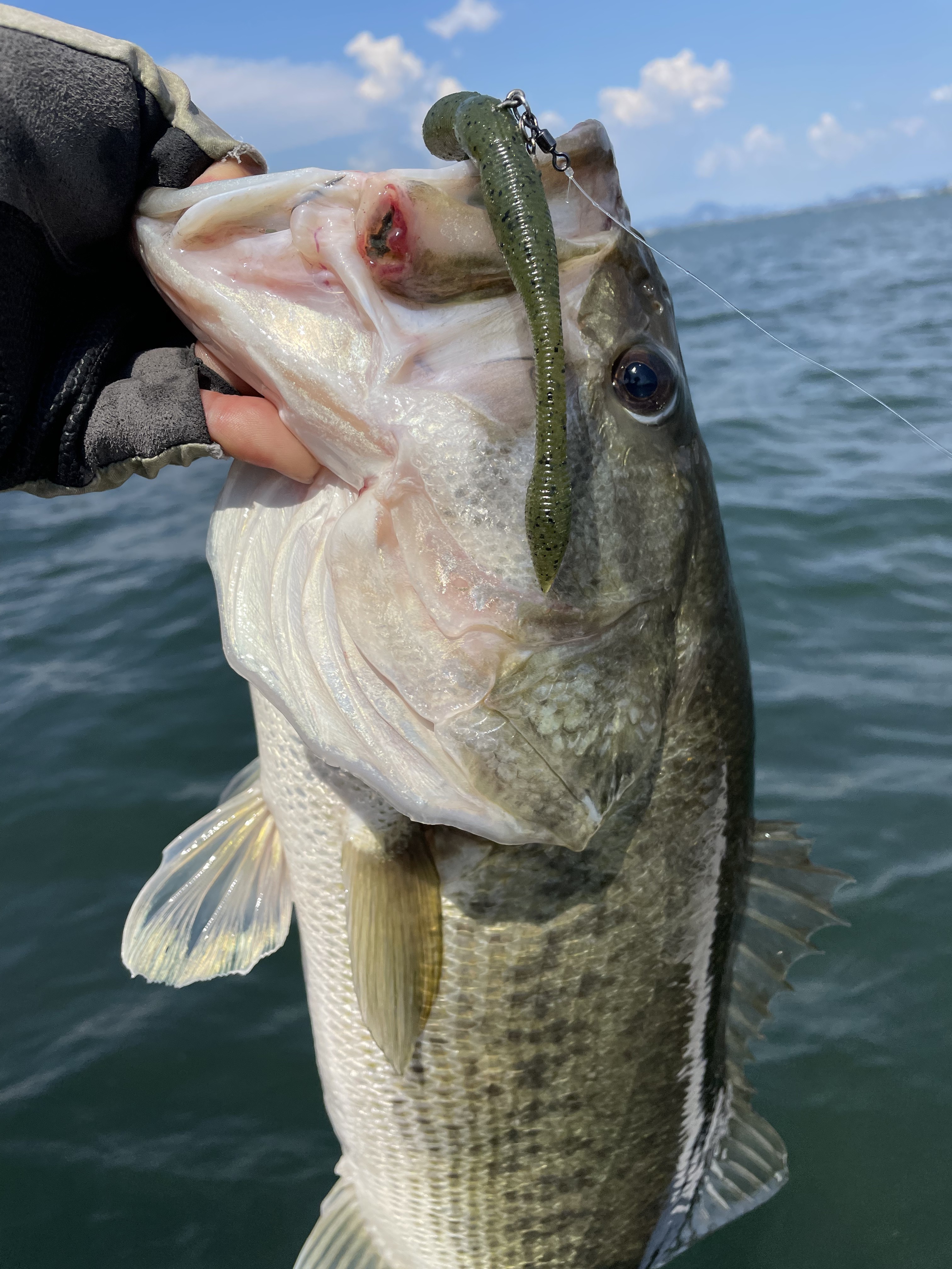 EAFEA17C-FFCD-4B91-A867-DD2F3F18EFCB