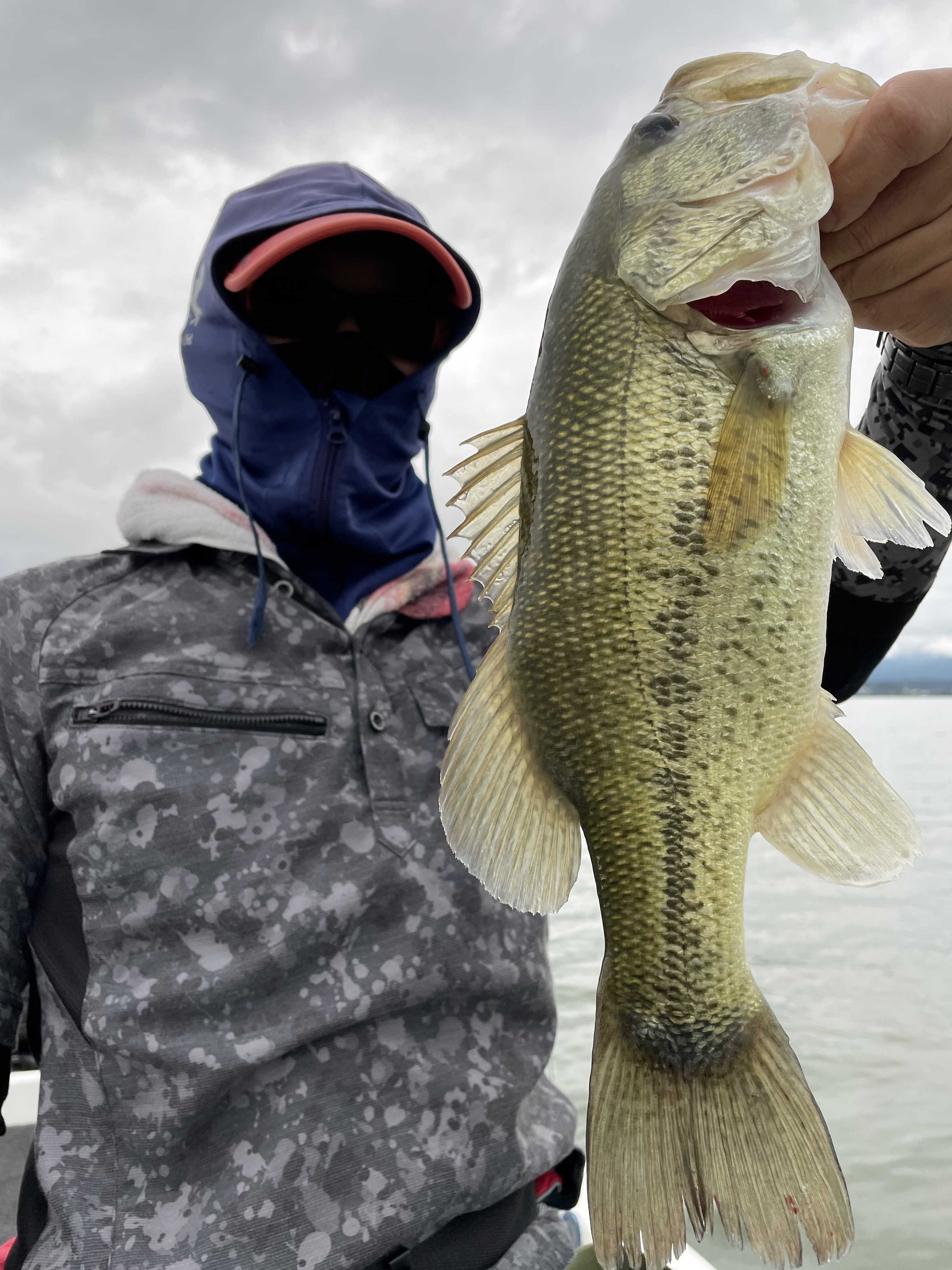 39971648-C156-4551-A4A4-FE26548BCED6