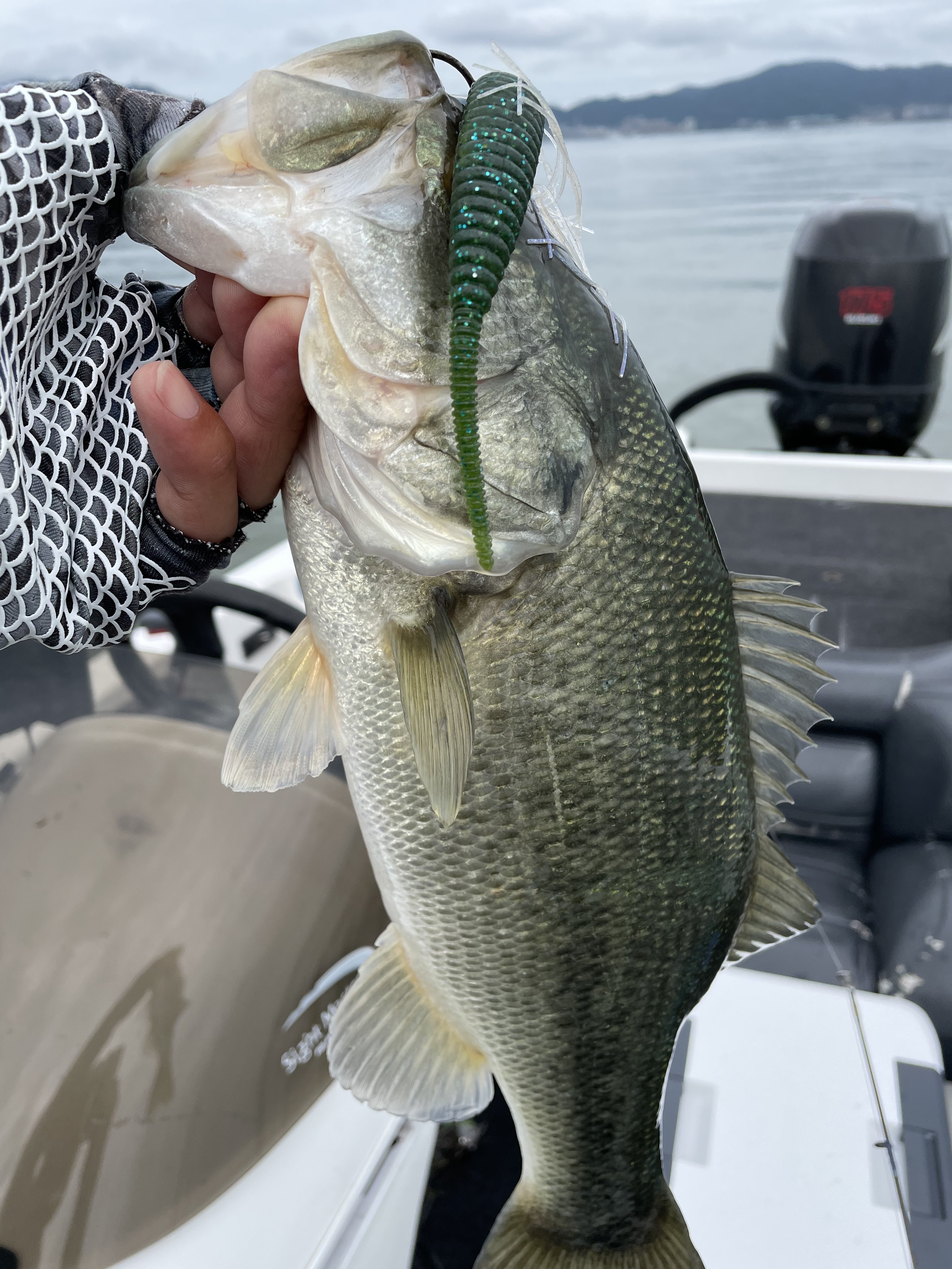 499112FD-656E-4E03-B5A5-6F488A043B48