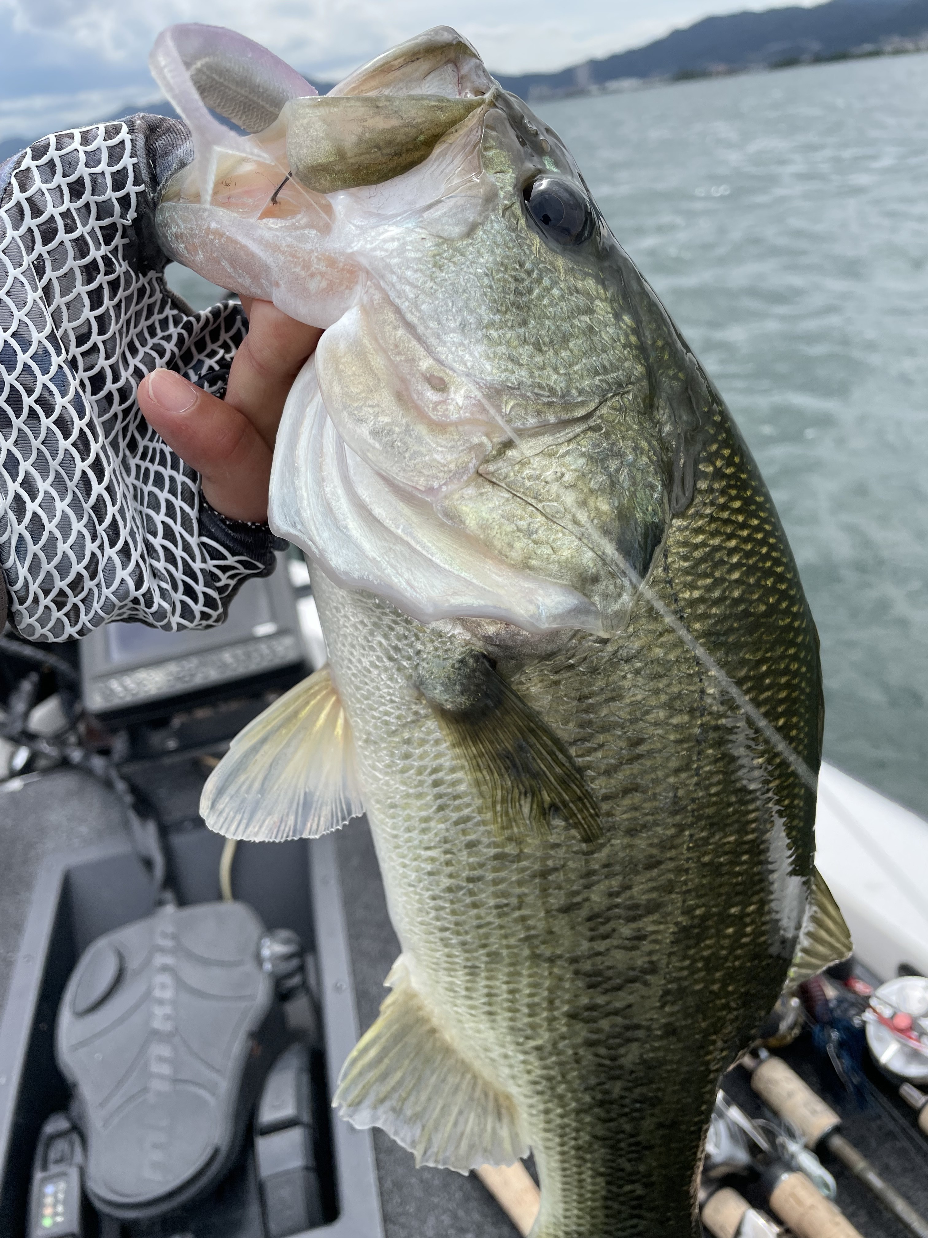 5646232F-0C3F-479B-A62A-0CA655C65F61