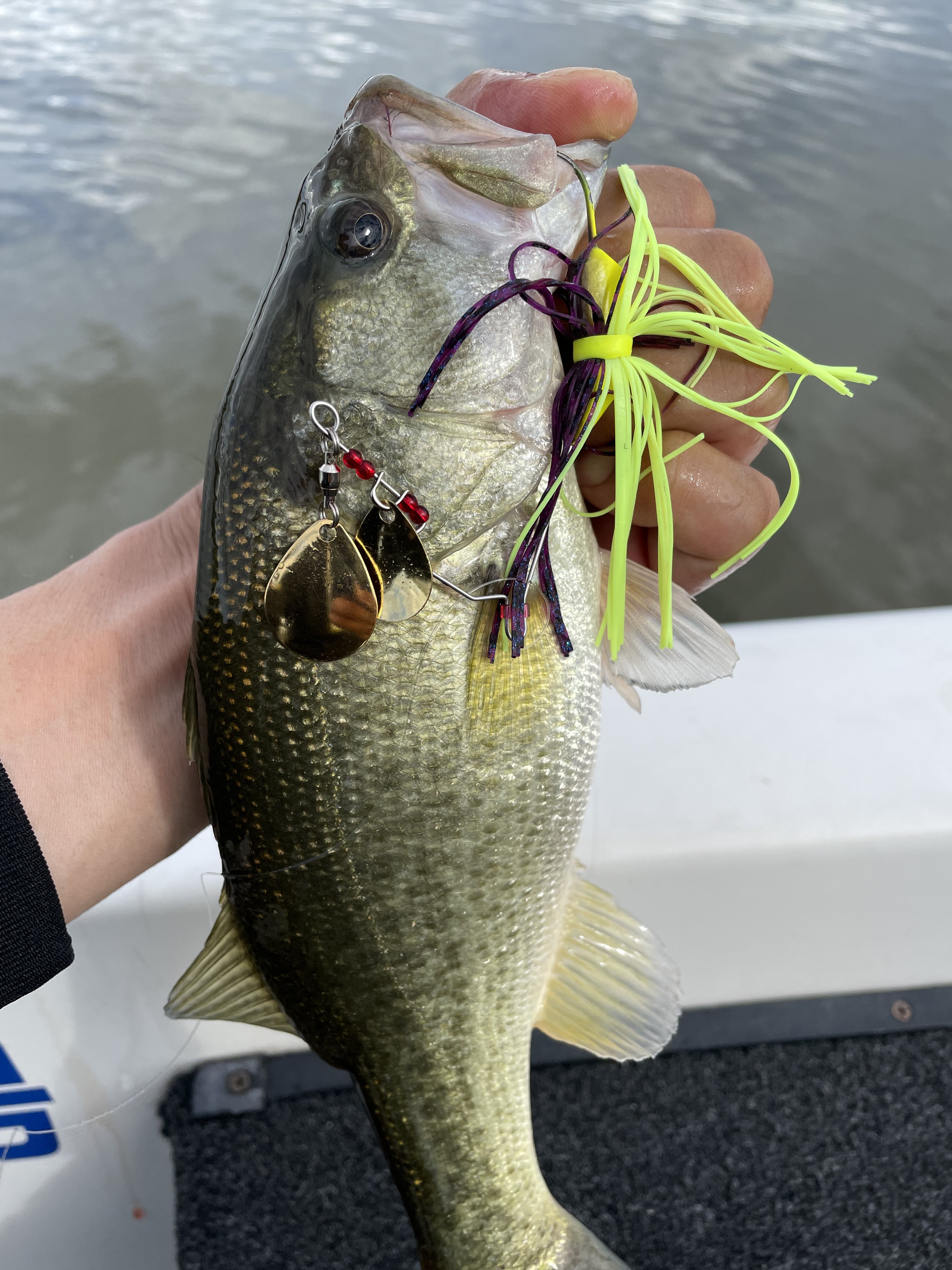 5E5BA2BE-743C-4DD3-843B-DD2FBD3F5EC6