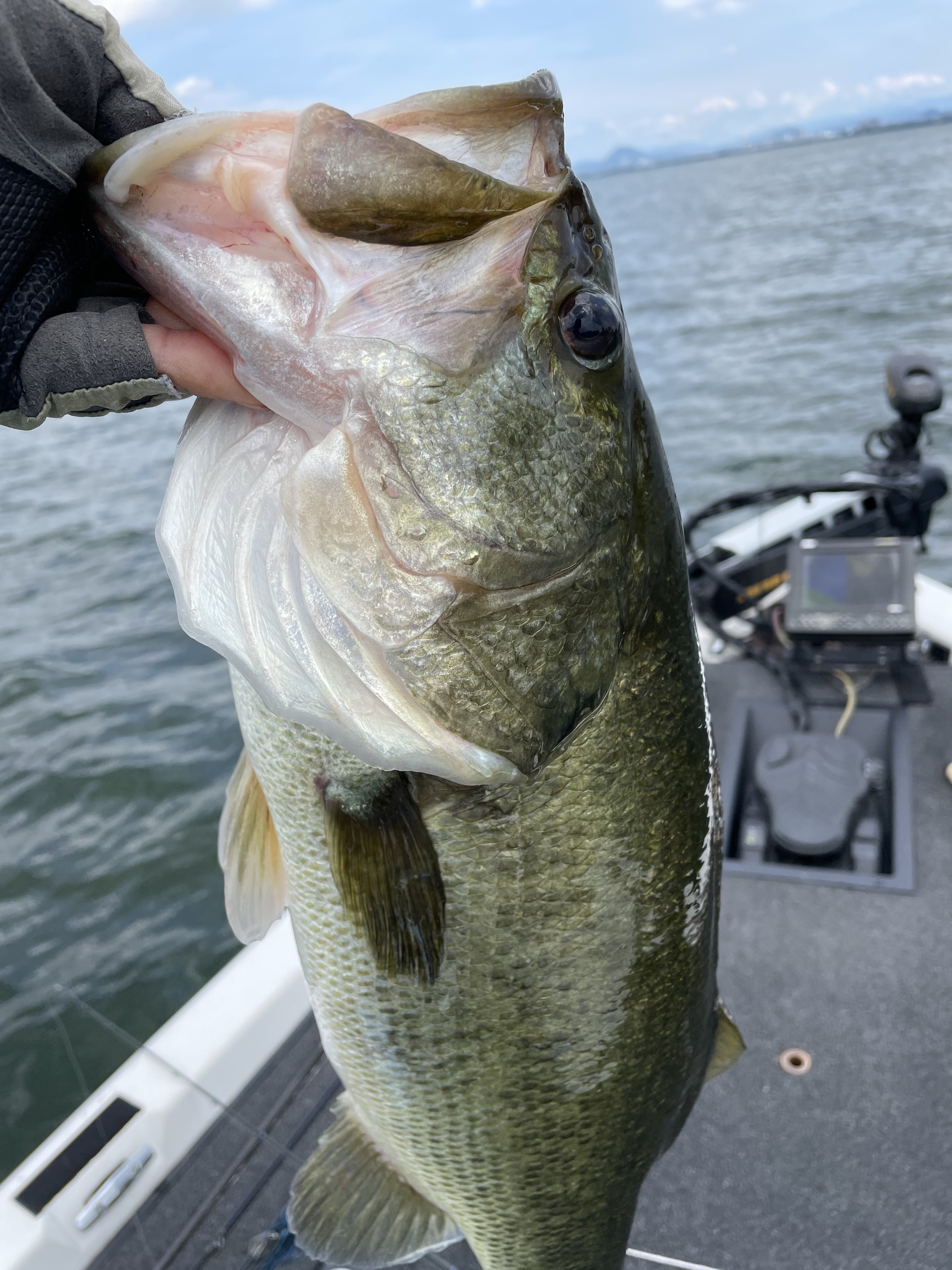 73D49B91-2E7B-499A-98F0-E258E73DB89F