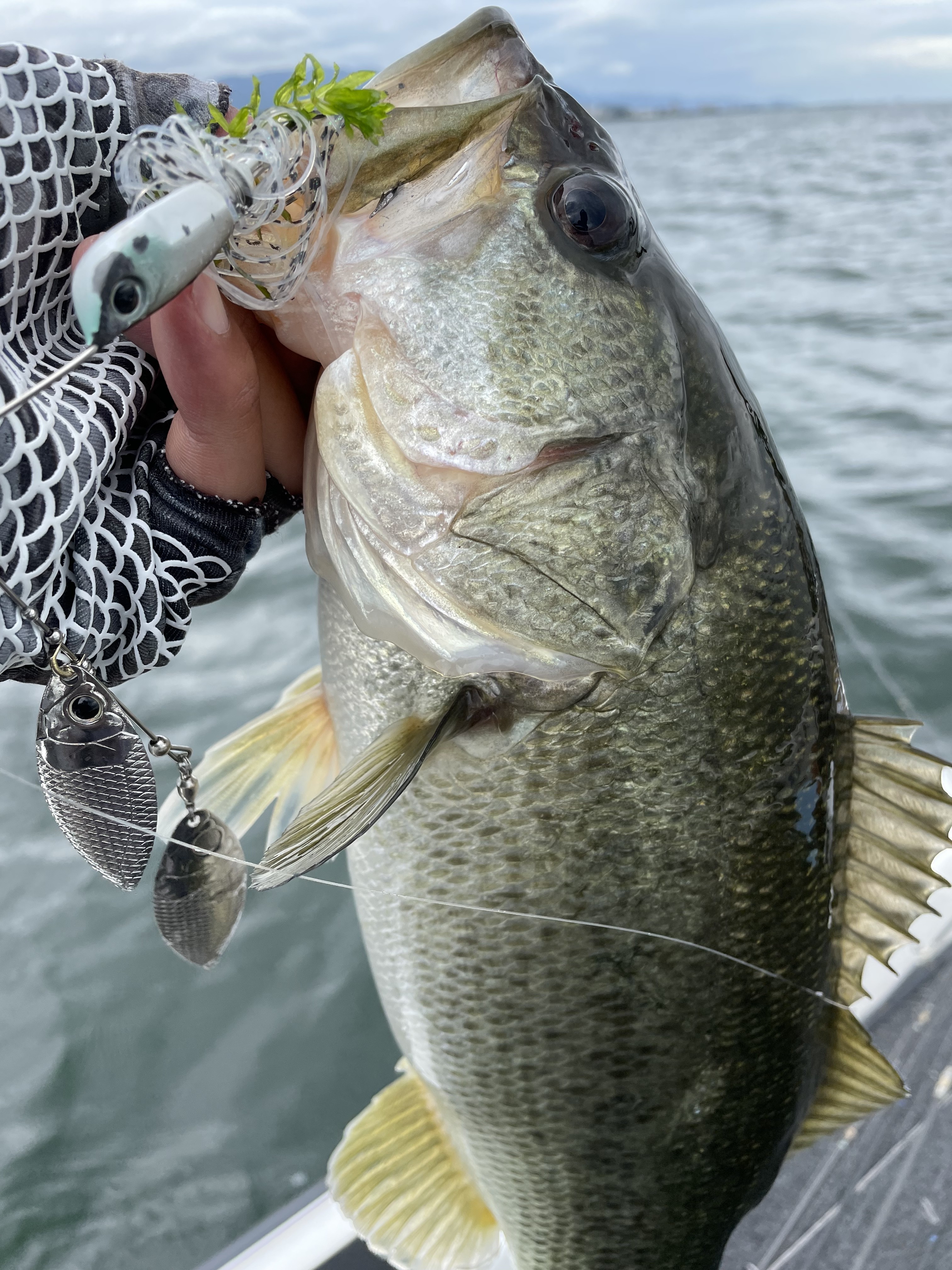 8F0AB444-C130-4EB3-8583-06A663EEB2BB