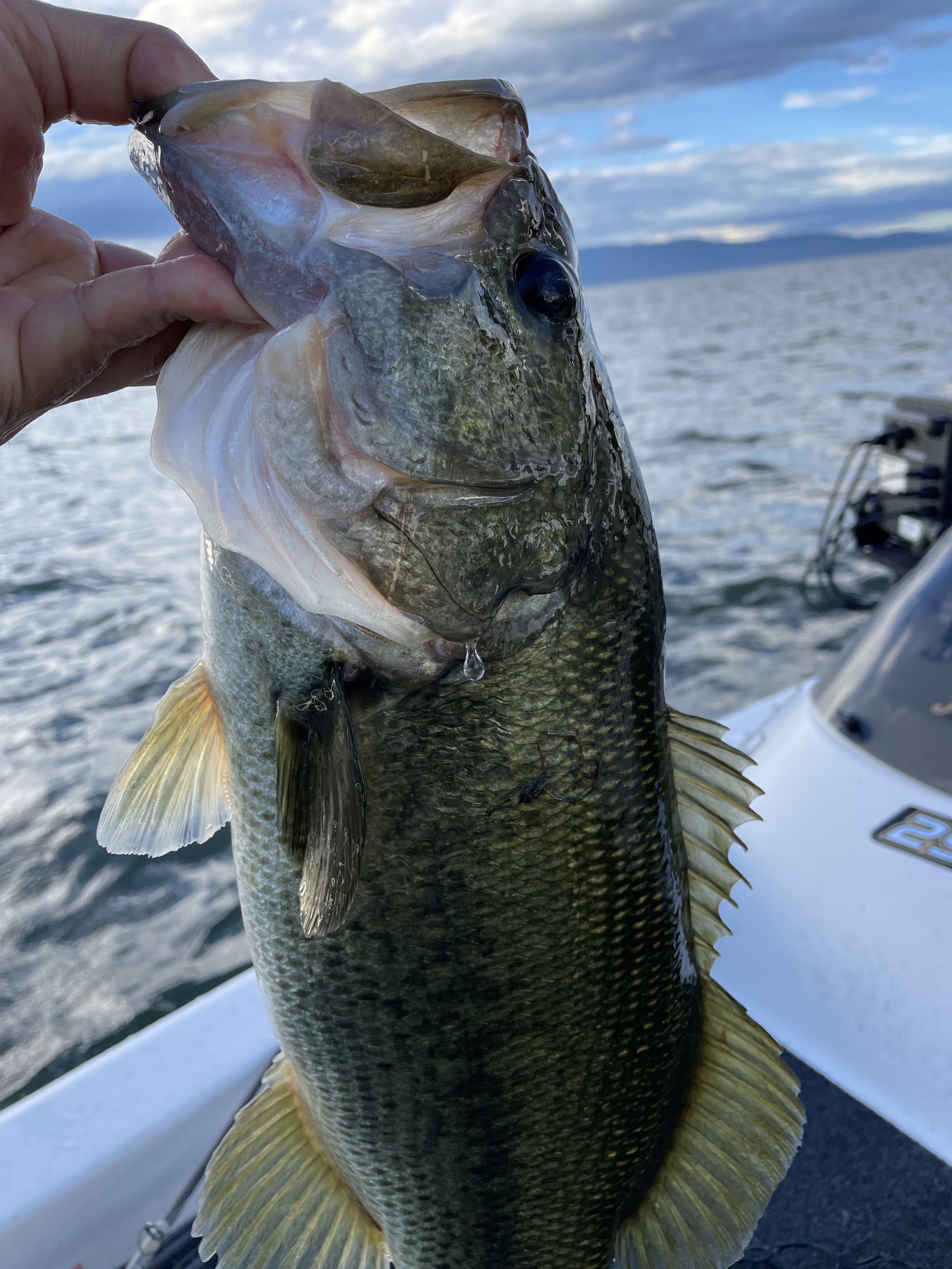 B639D4D8-2173-4303-9257-F6A1546F22F6