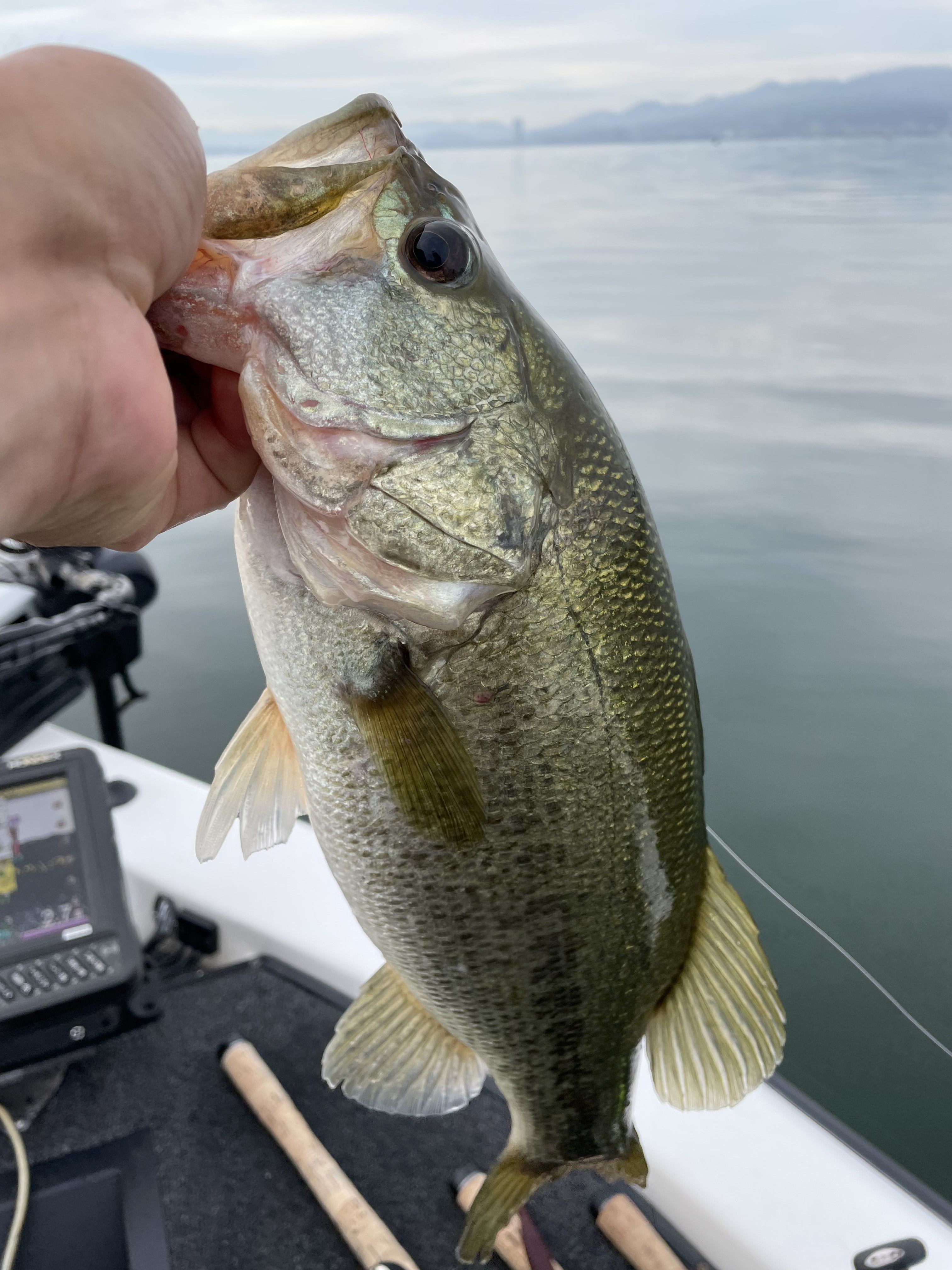 BBACA9AD-E741-4389-A32B-68792AA080F1