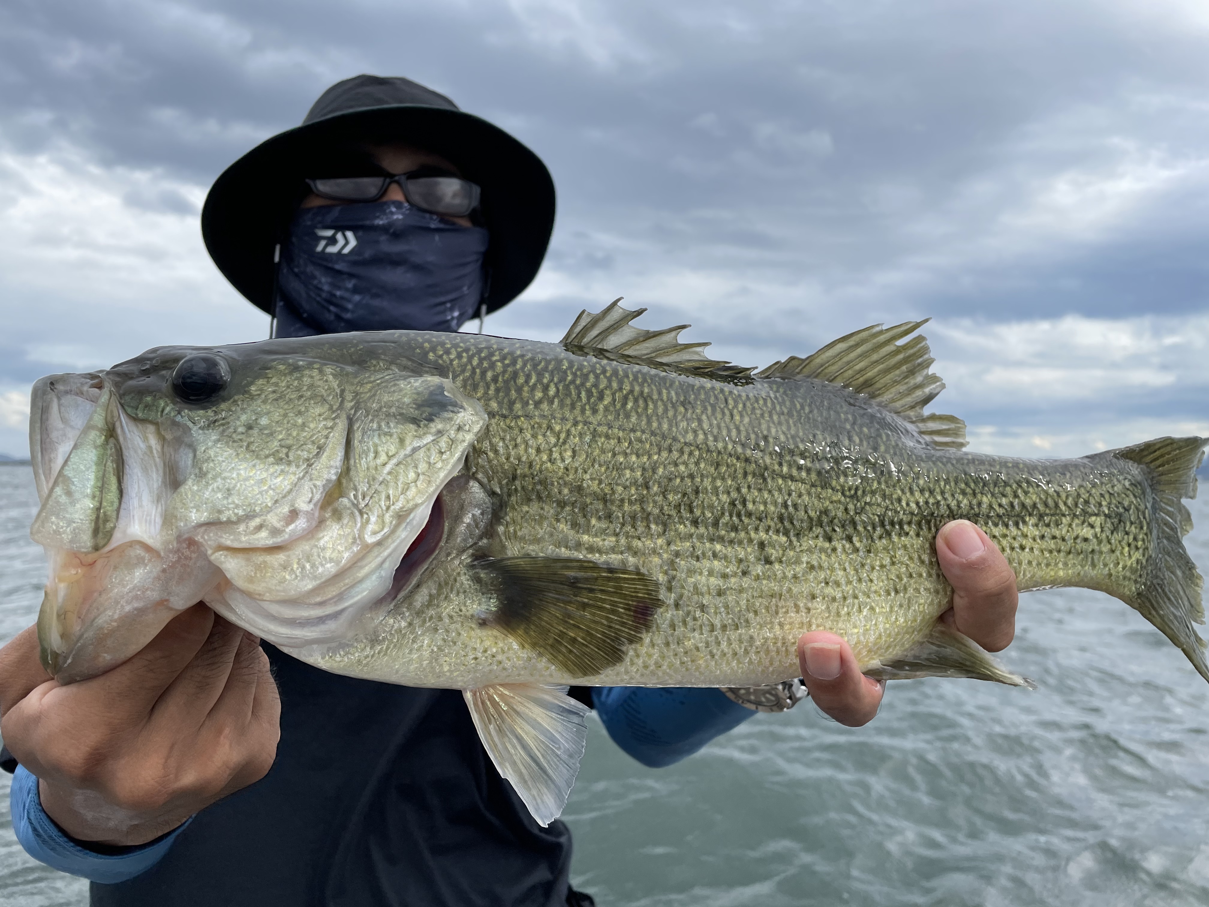 C8716D93-A6FC-4DA4-84ED-7CB6C652D8B6