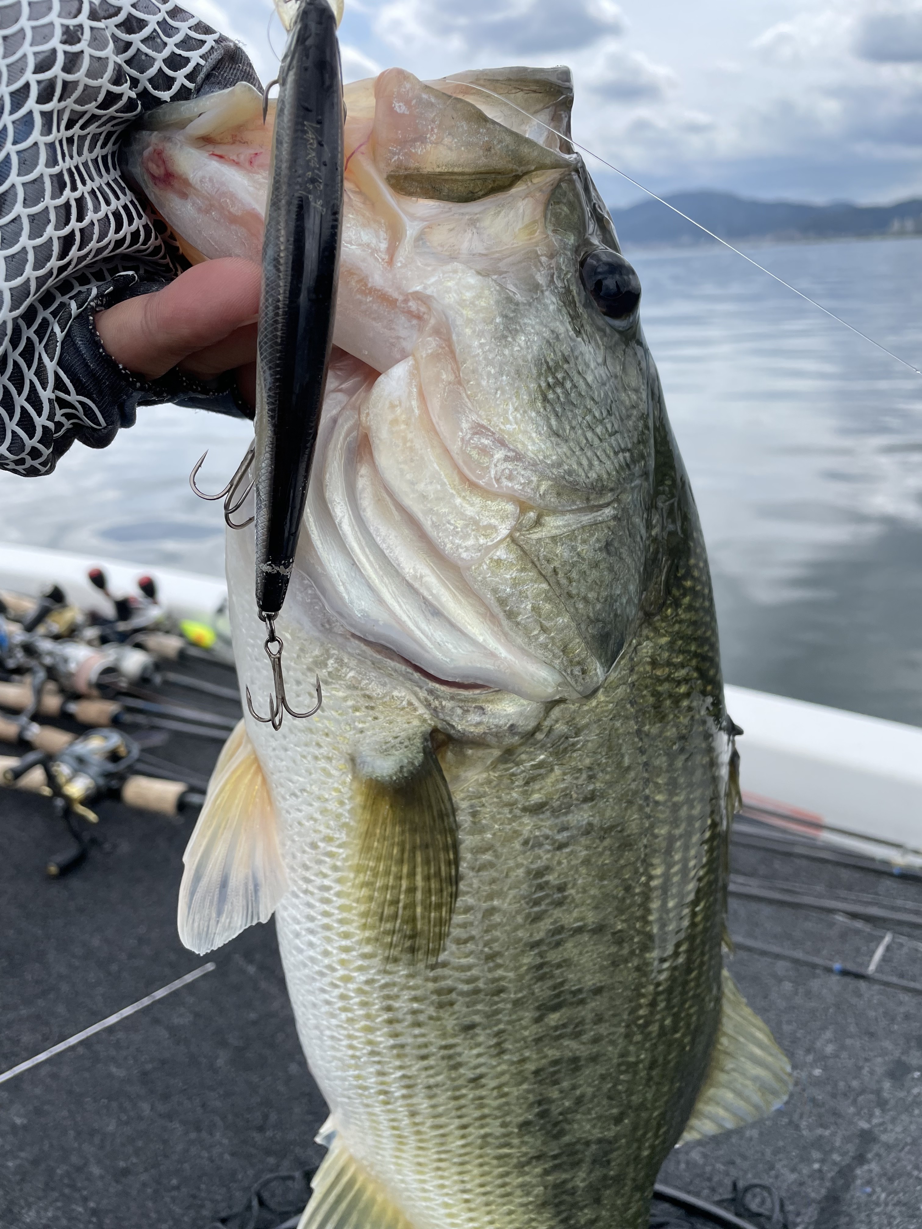 C9C69F55-545F-46AB-B2F6-12D4D02B08DC