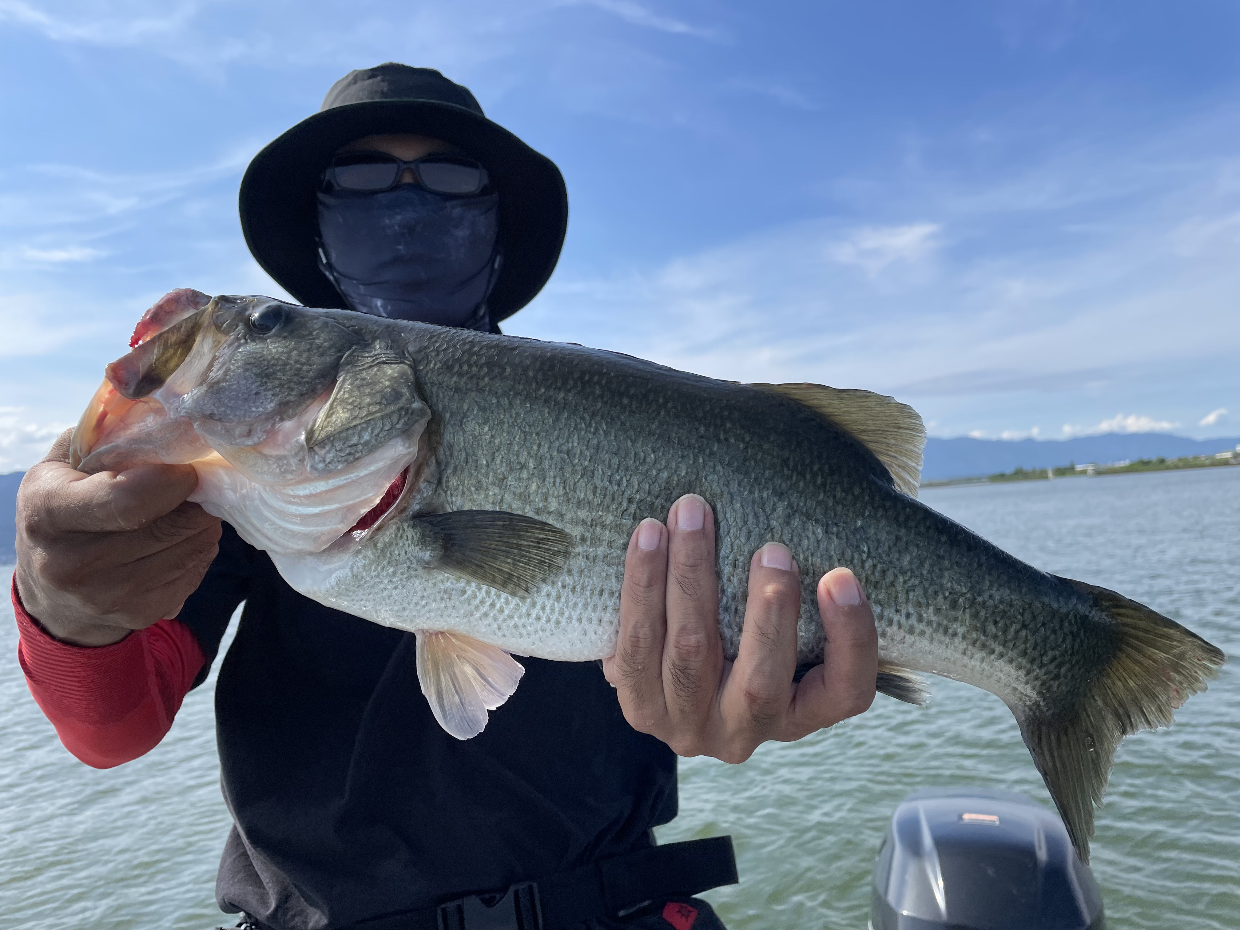 EE81D90F-6D72-4B55-90E8-6F49A6A3E05D