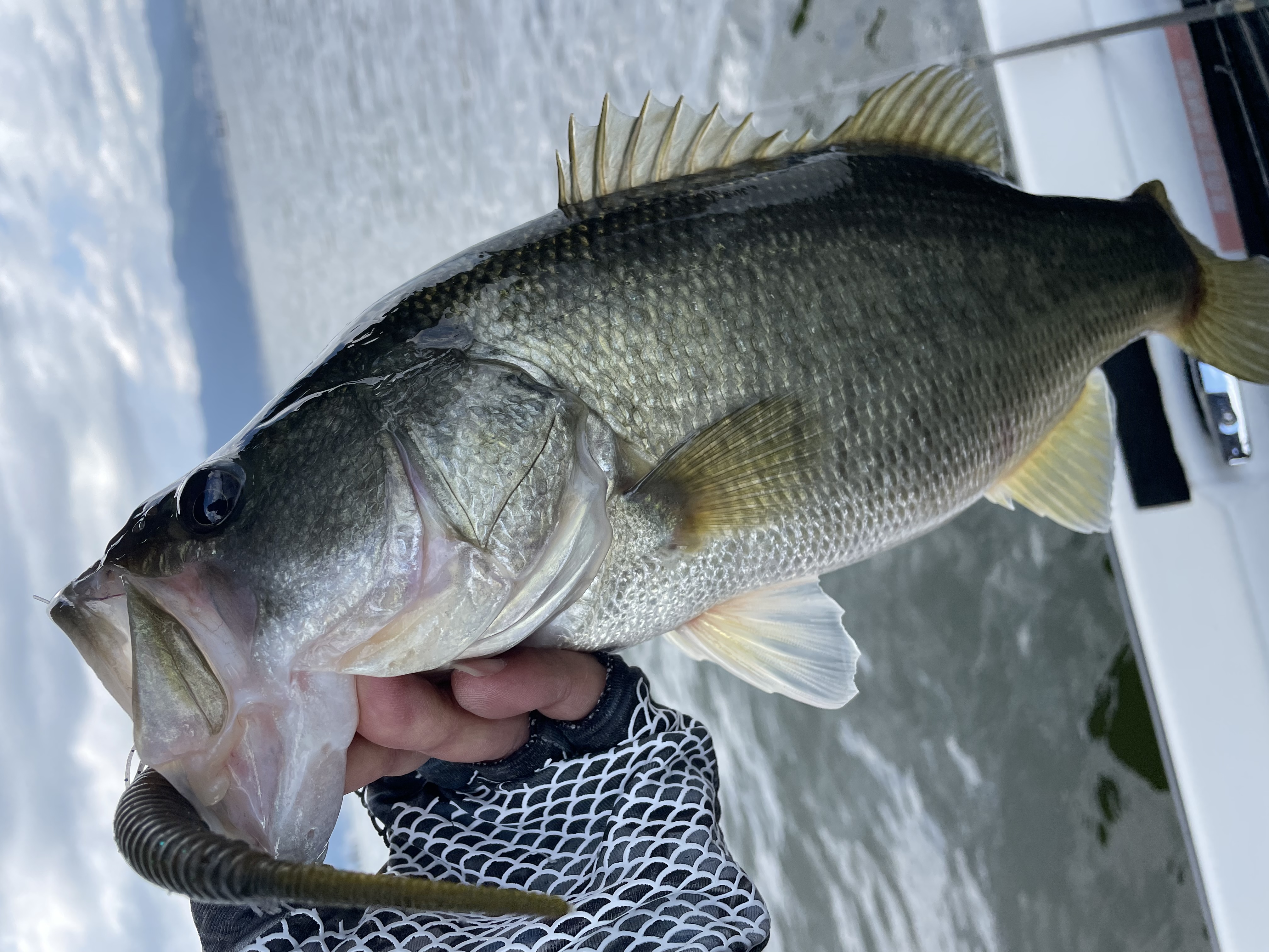 3195EA39-57FA-4A23-993E-D374F7FCF1C9