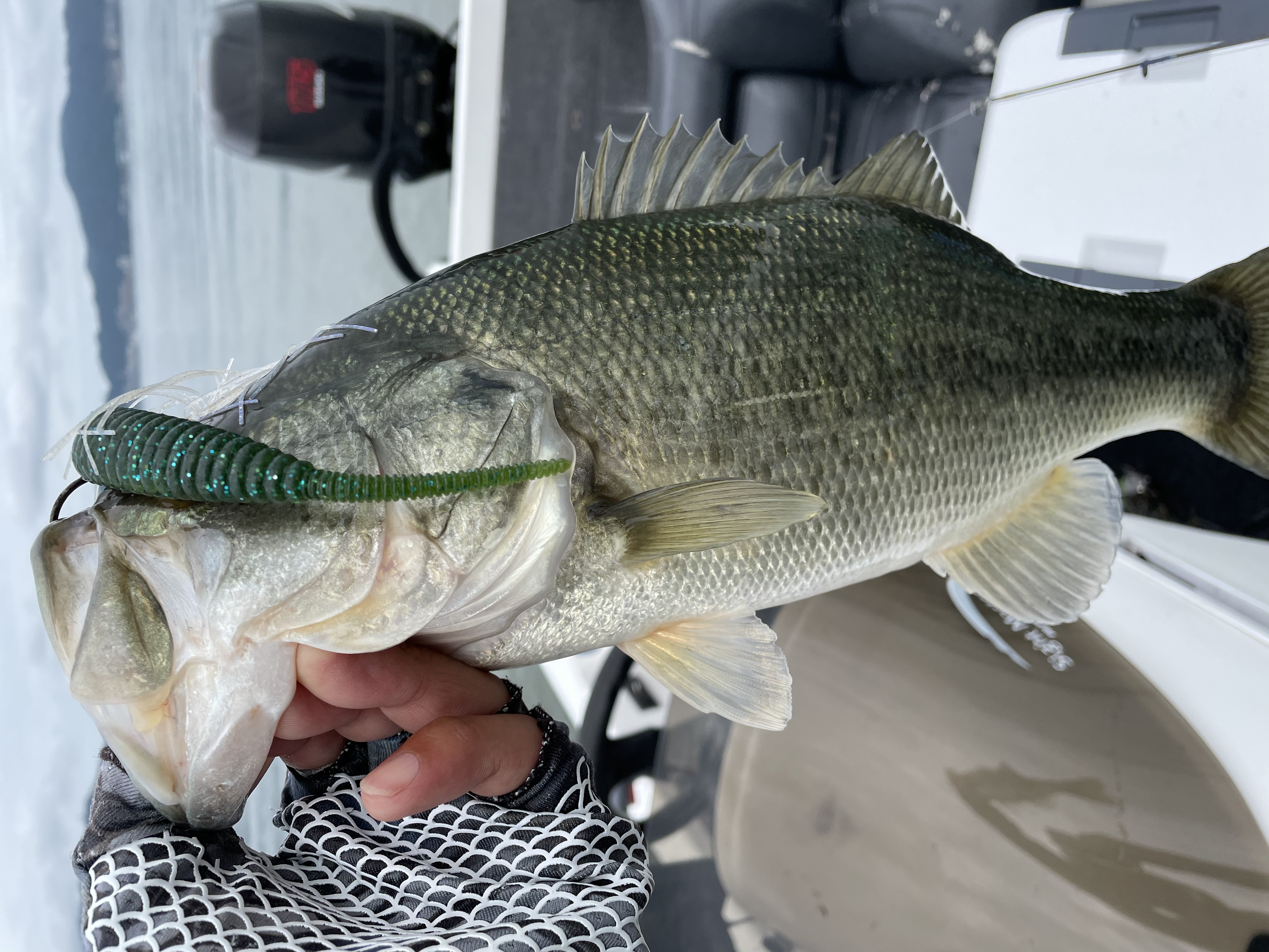 651DBE66-17B4-431B-88A8-1AC24BB85D37