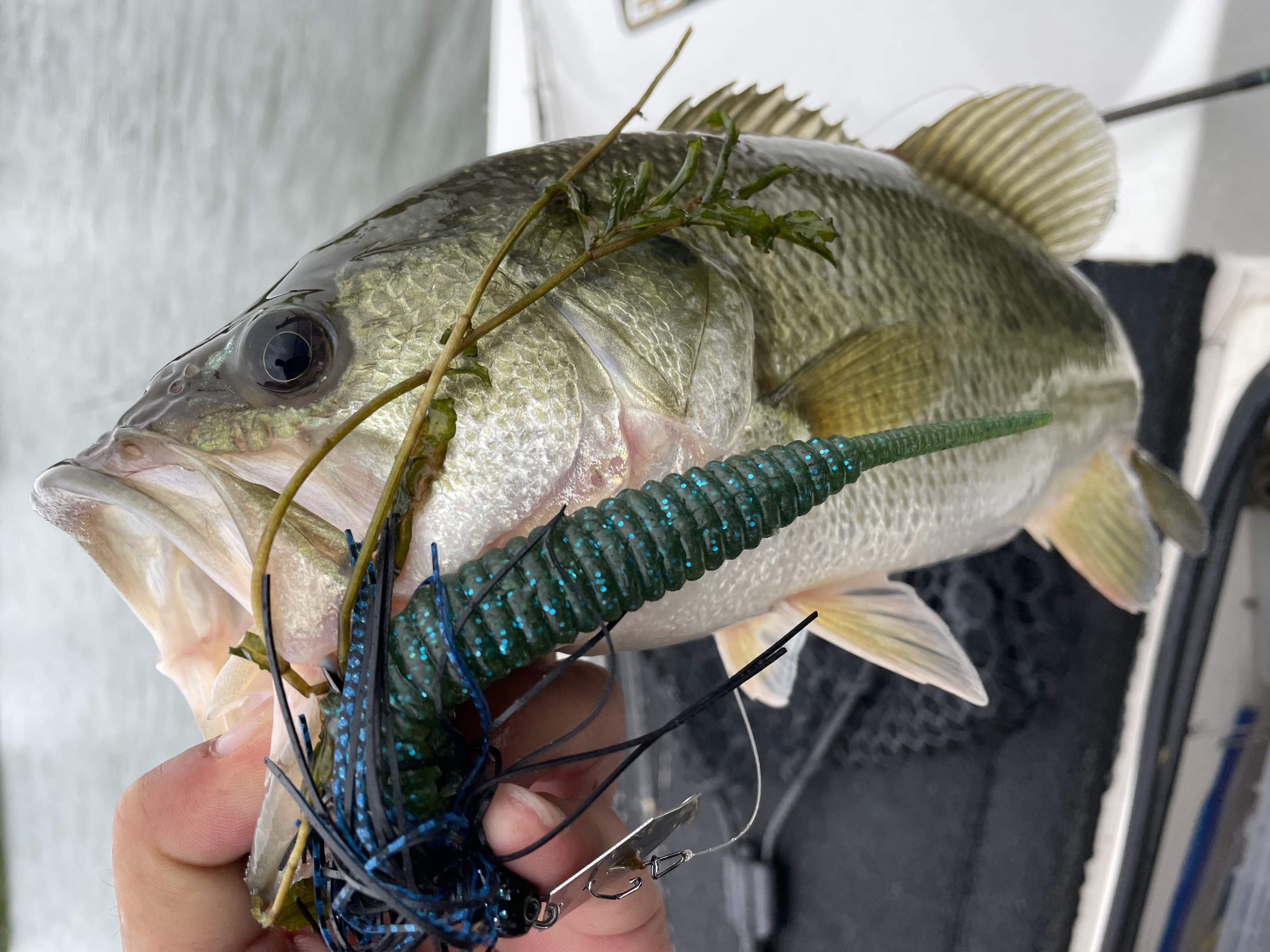 69BE769E-997B-4B70-B5E2-81AA8941E26E