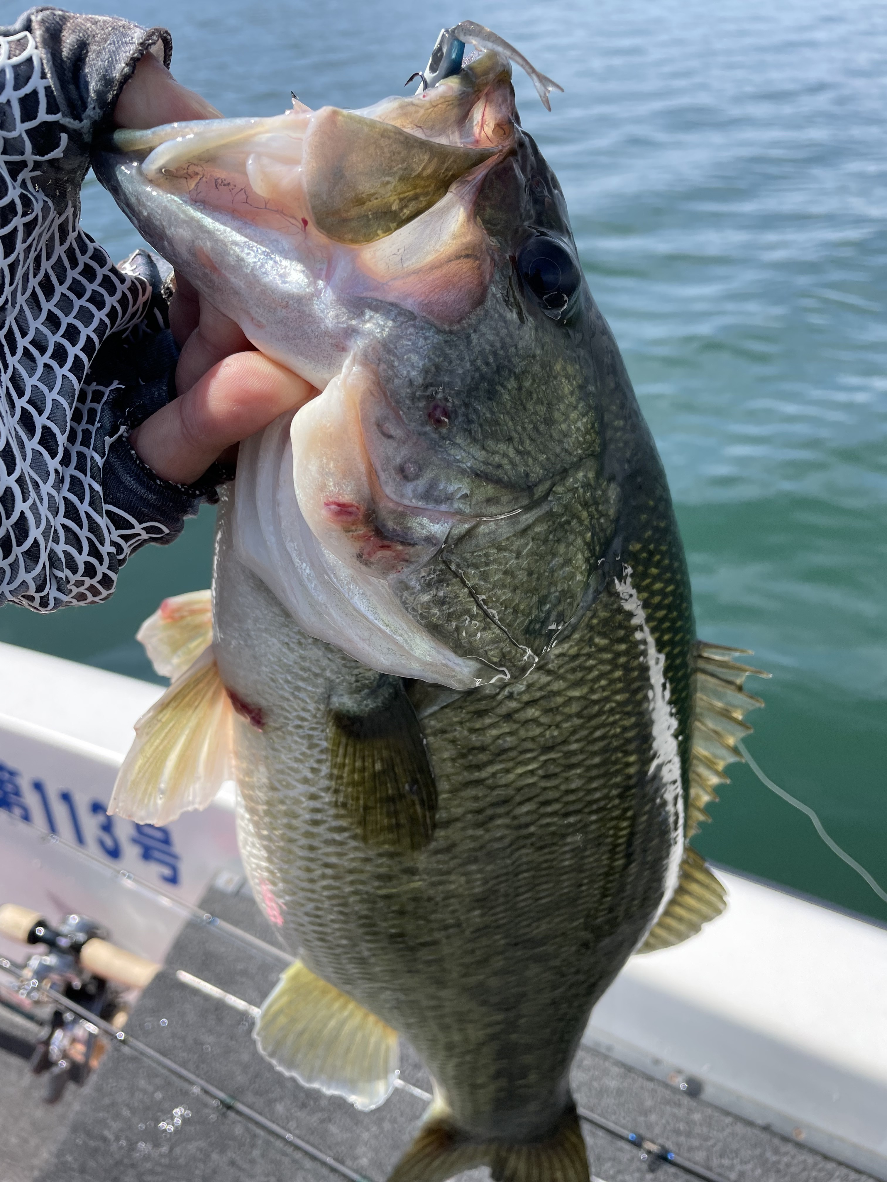 6B2BBBD4-CD70-44A5-8E42-D0F6C3F9106B