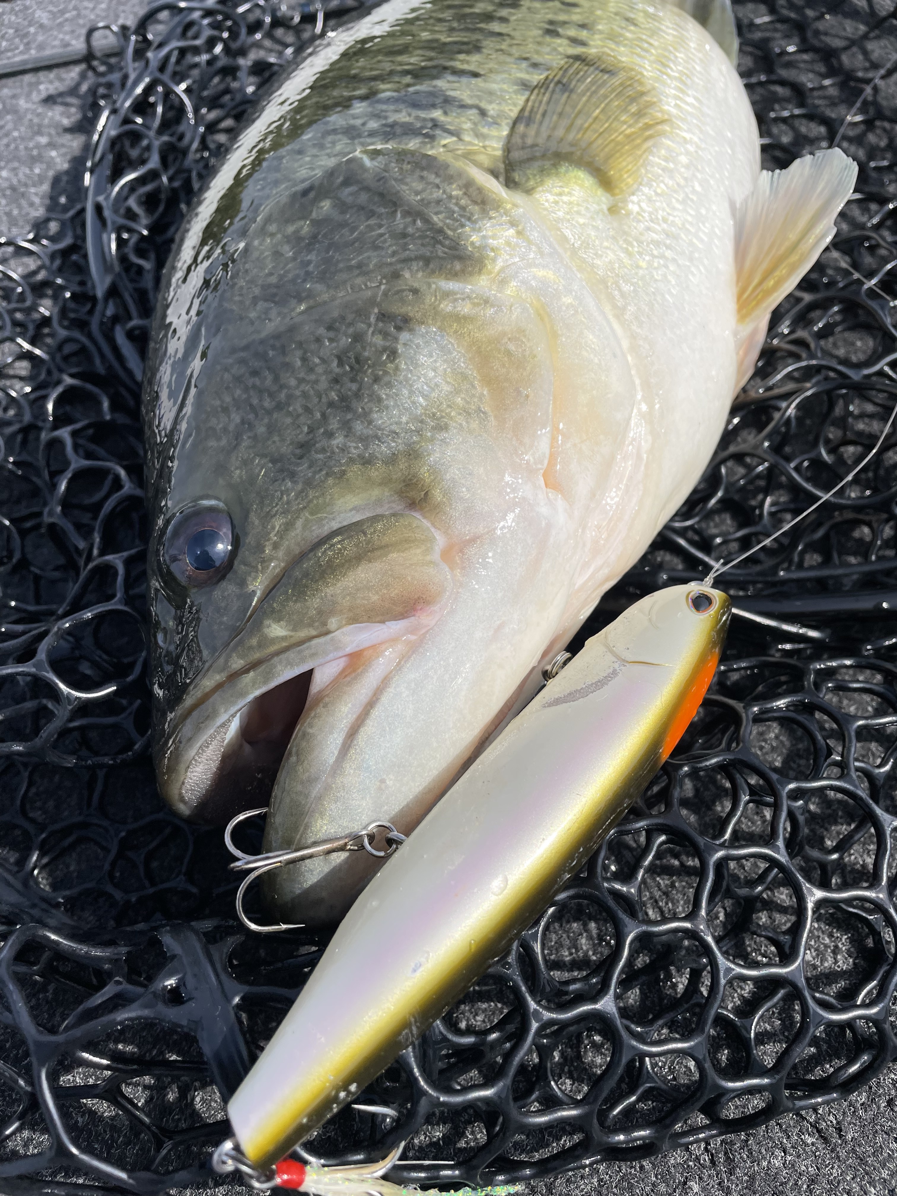 7DF8A5D2-D29F-45A2-B152-742FBEB67A58