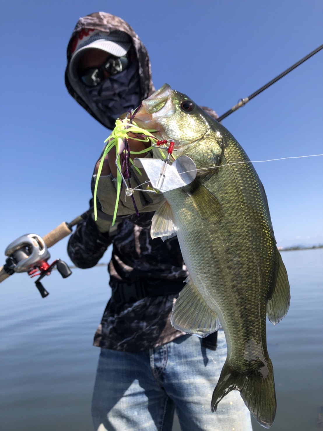 9A8A018A-4983-4D5E-B523-AAE1D06ADDF7