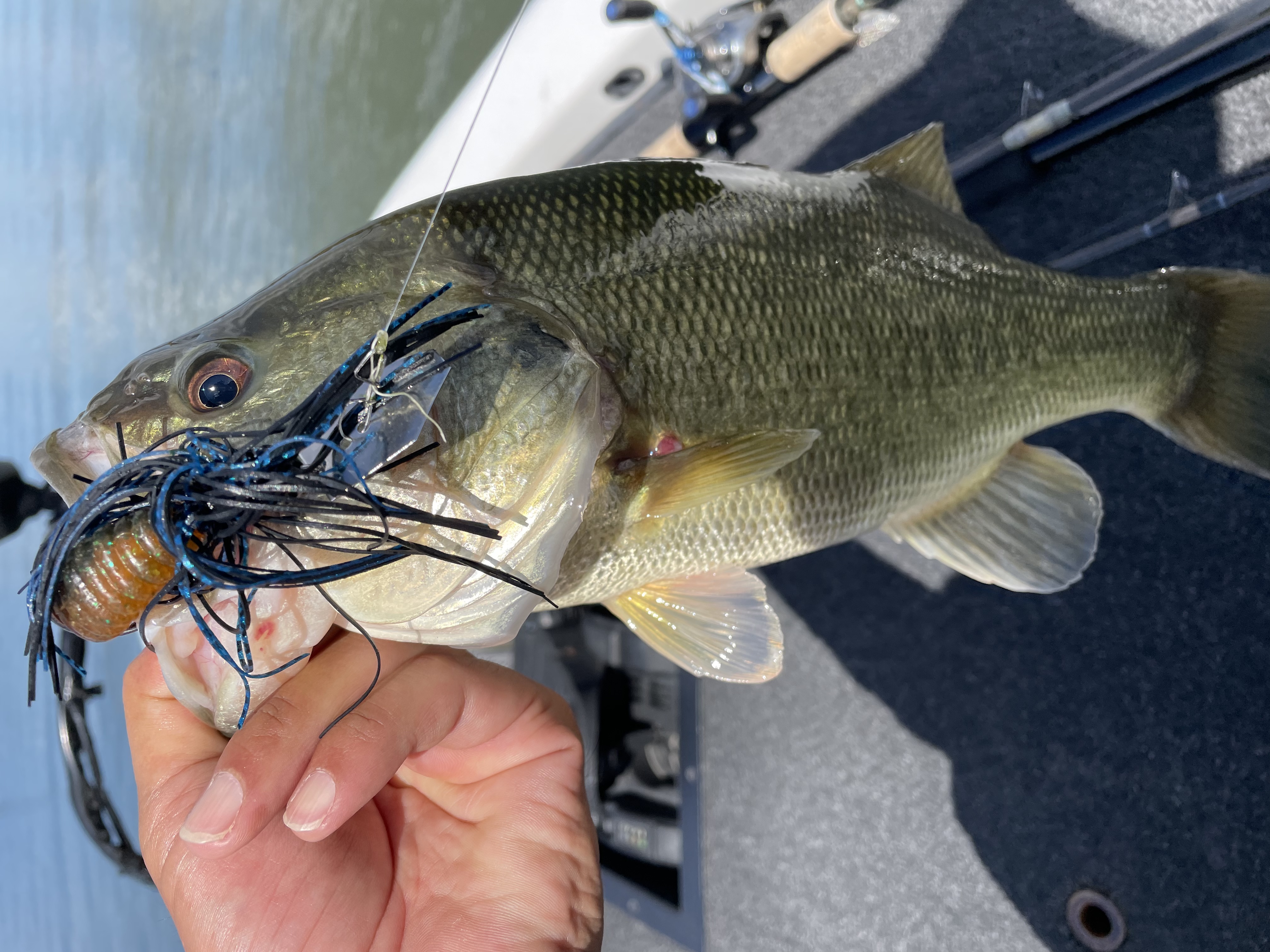 9B3F65F6-B794-44B3-A4B7-0DF34D9A4812