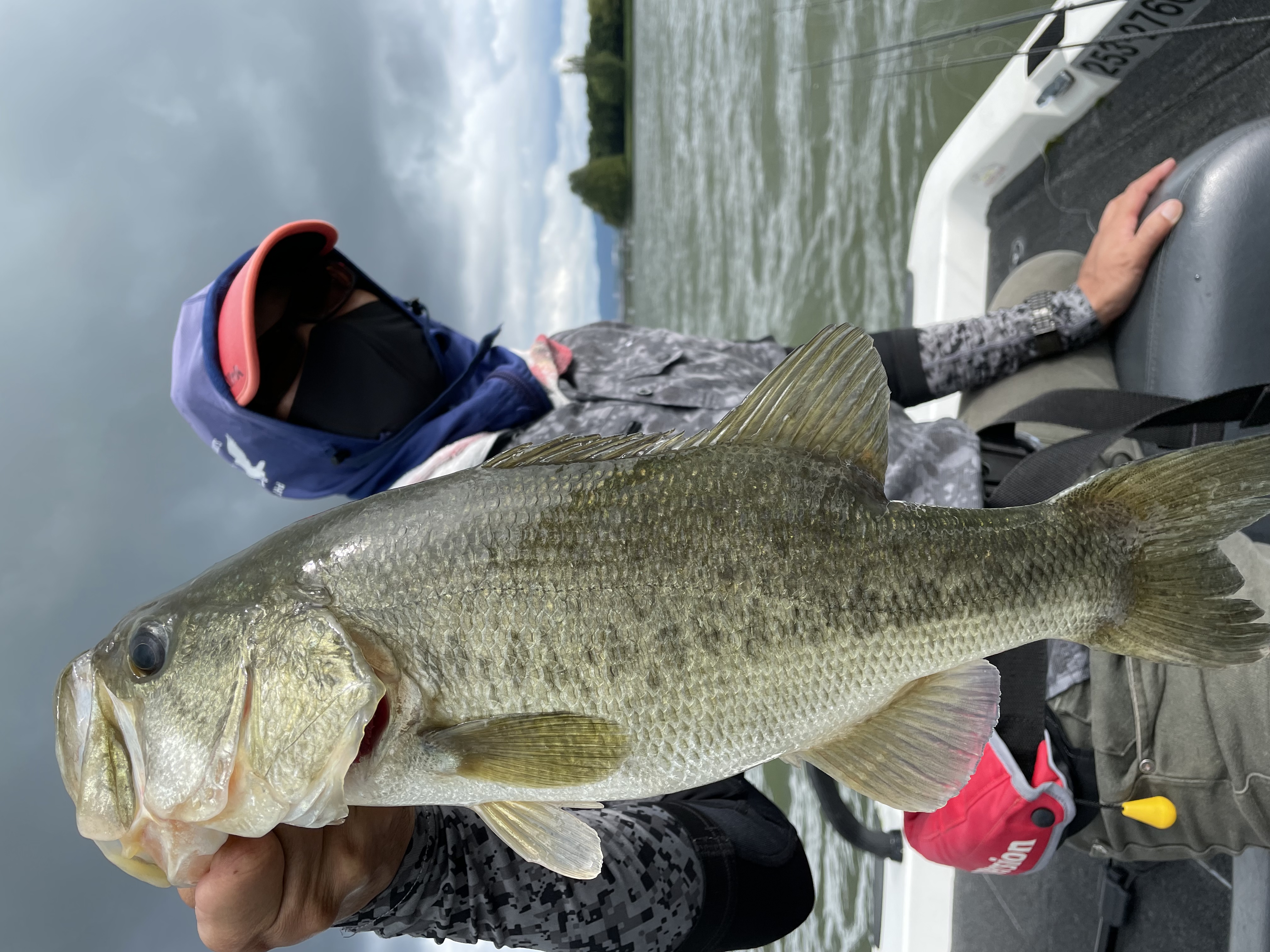 A2101E2F-541C-4B77-9195-32A96C390C8F