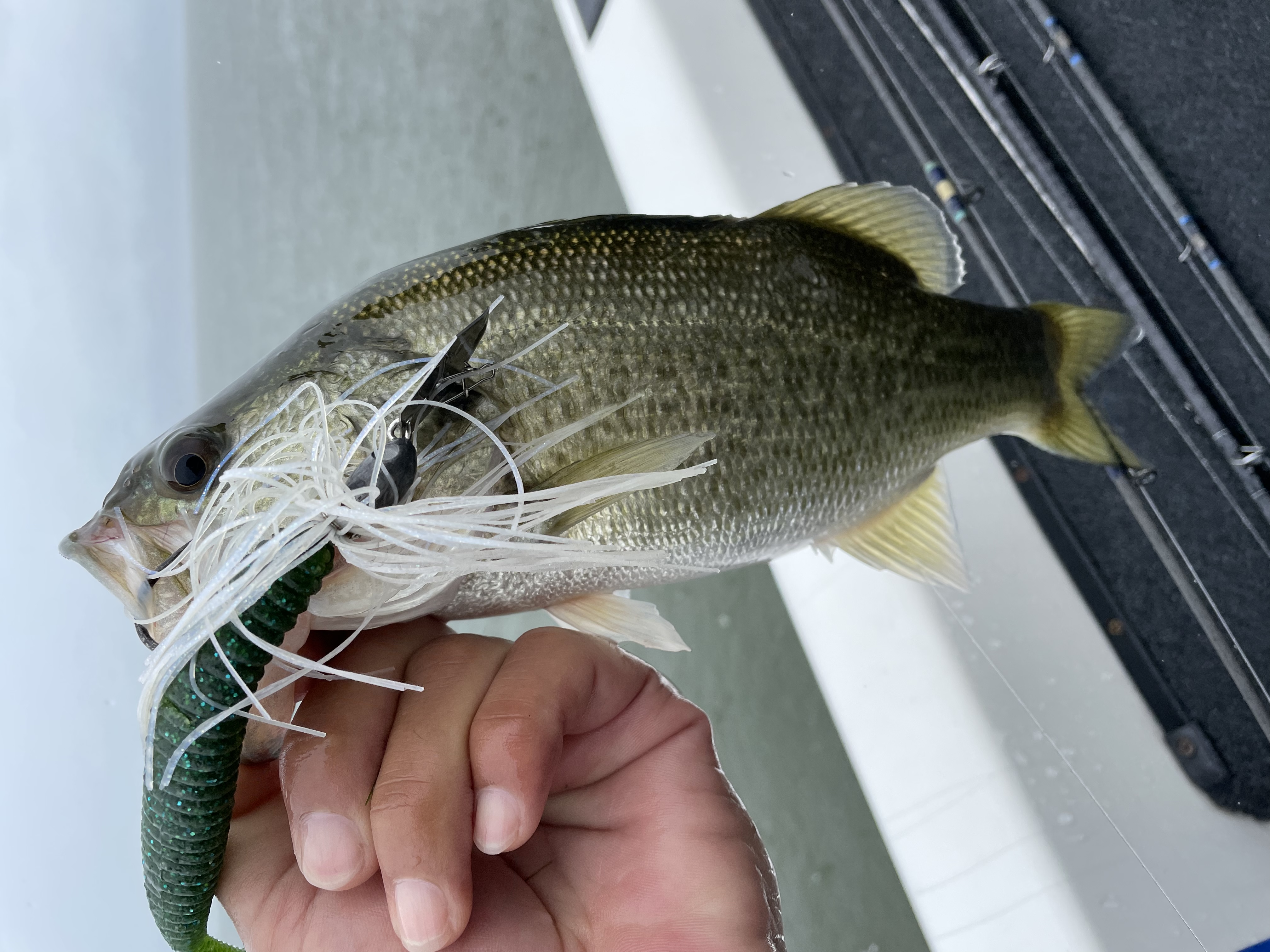 C4C61C22-7FD8-4EE3-A5B6-88EBB568F843