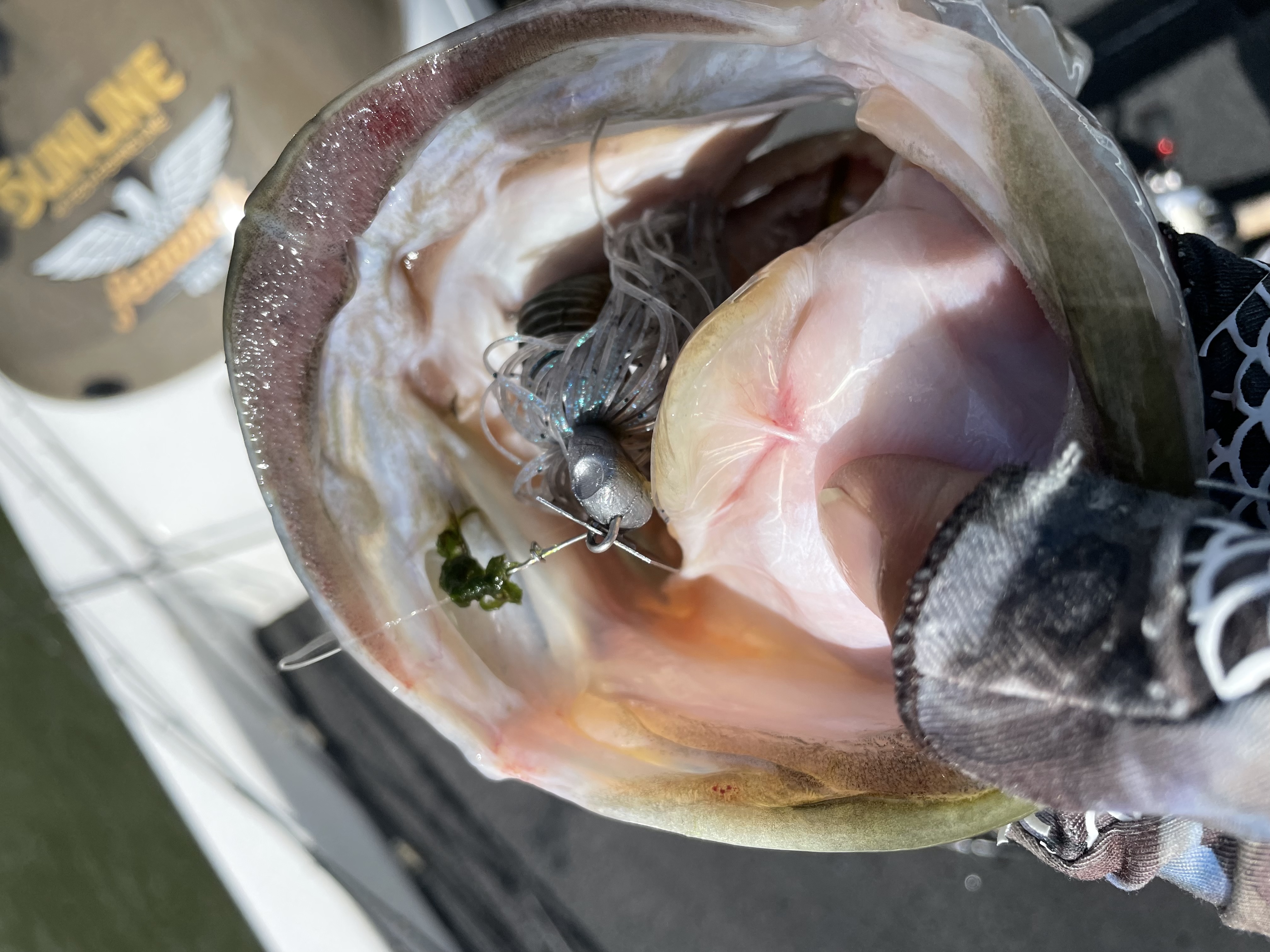 D09CB6B2-0FFF-4D0C-A22B-66A6FFB53235