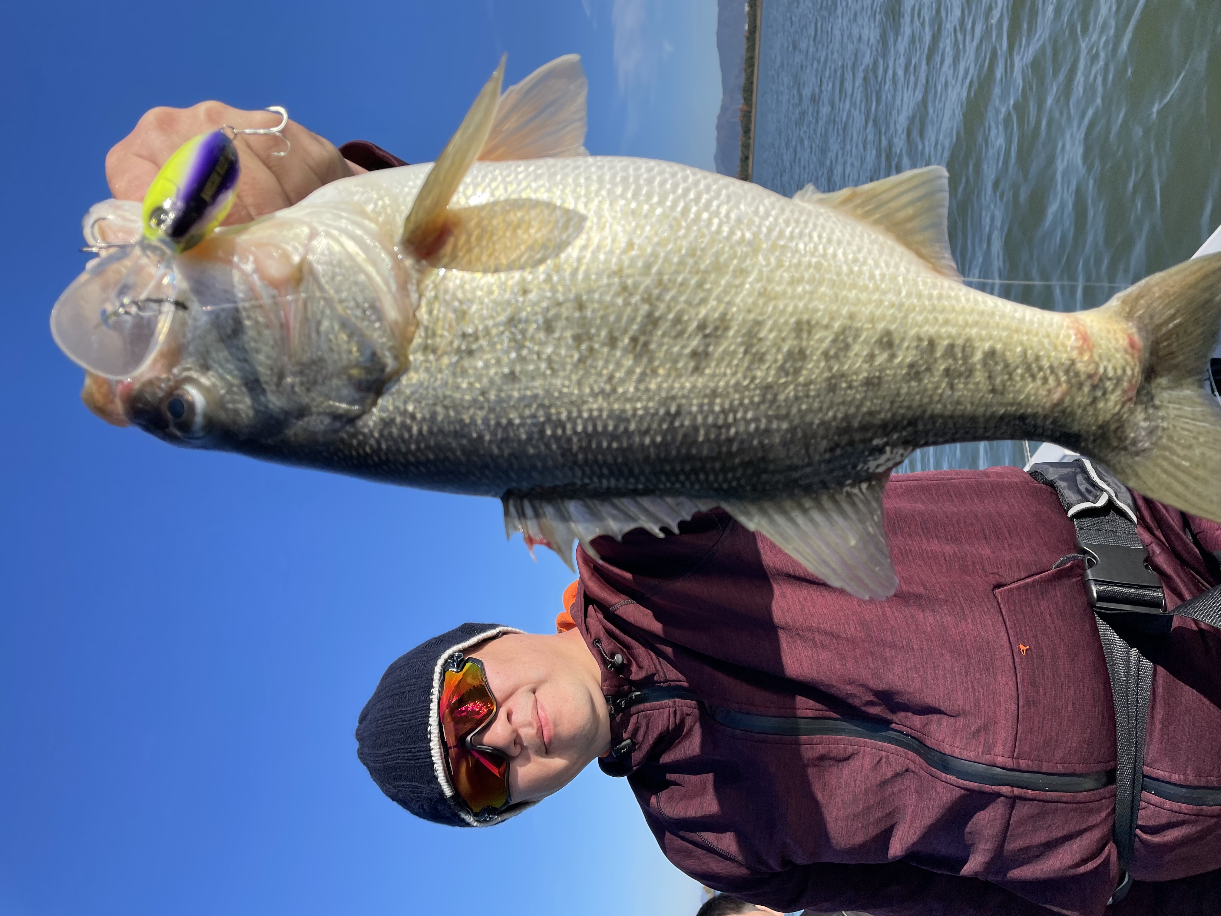 01CBC403-47FD-45B1-BBA7-6EDA0EDA6727