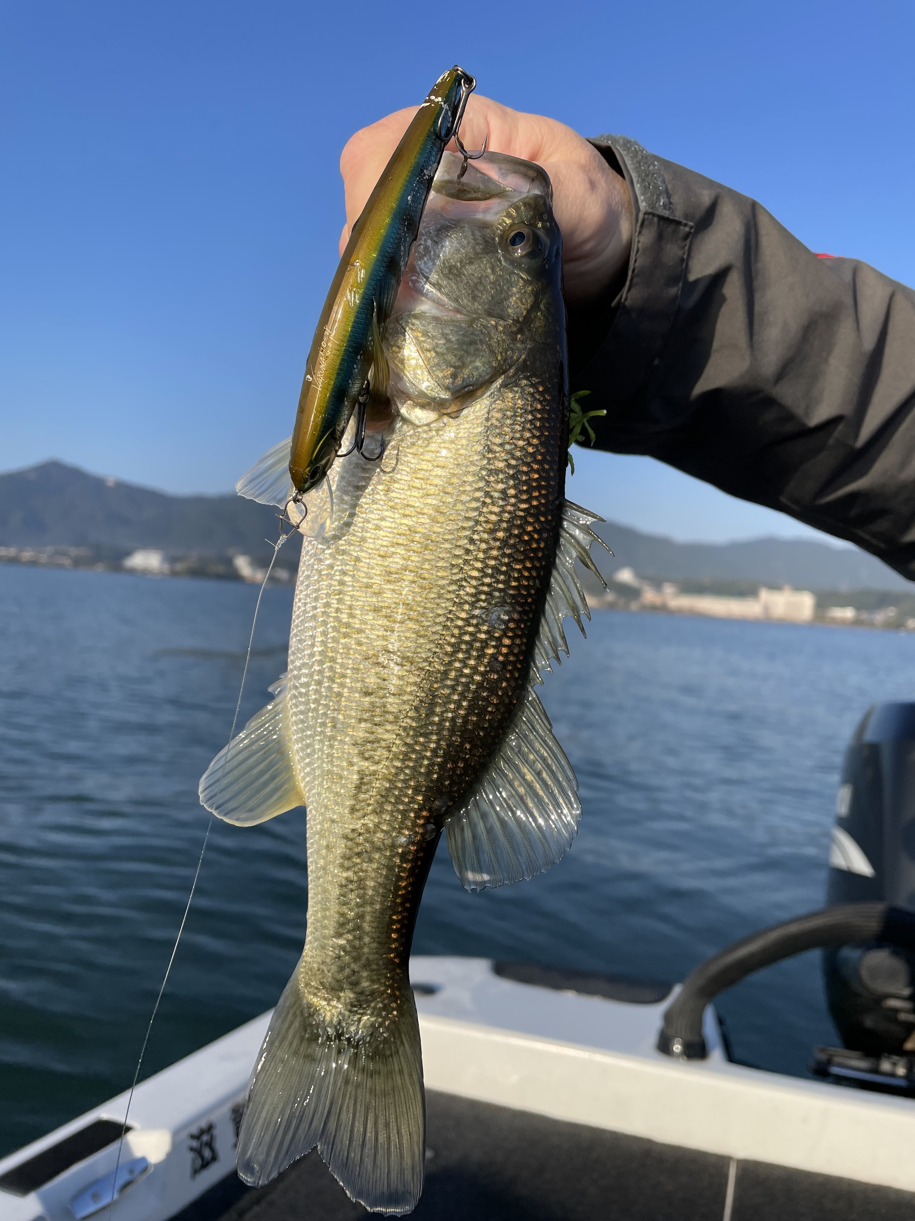 06A99196-FD84-4A43-951E-E13A8363FB95