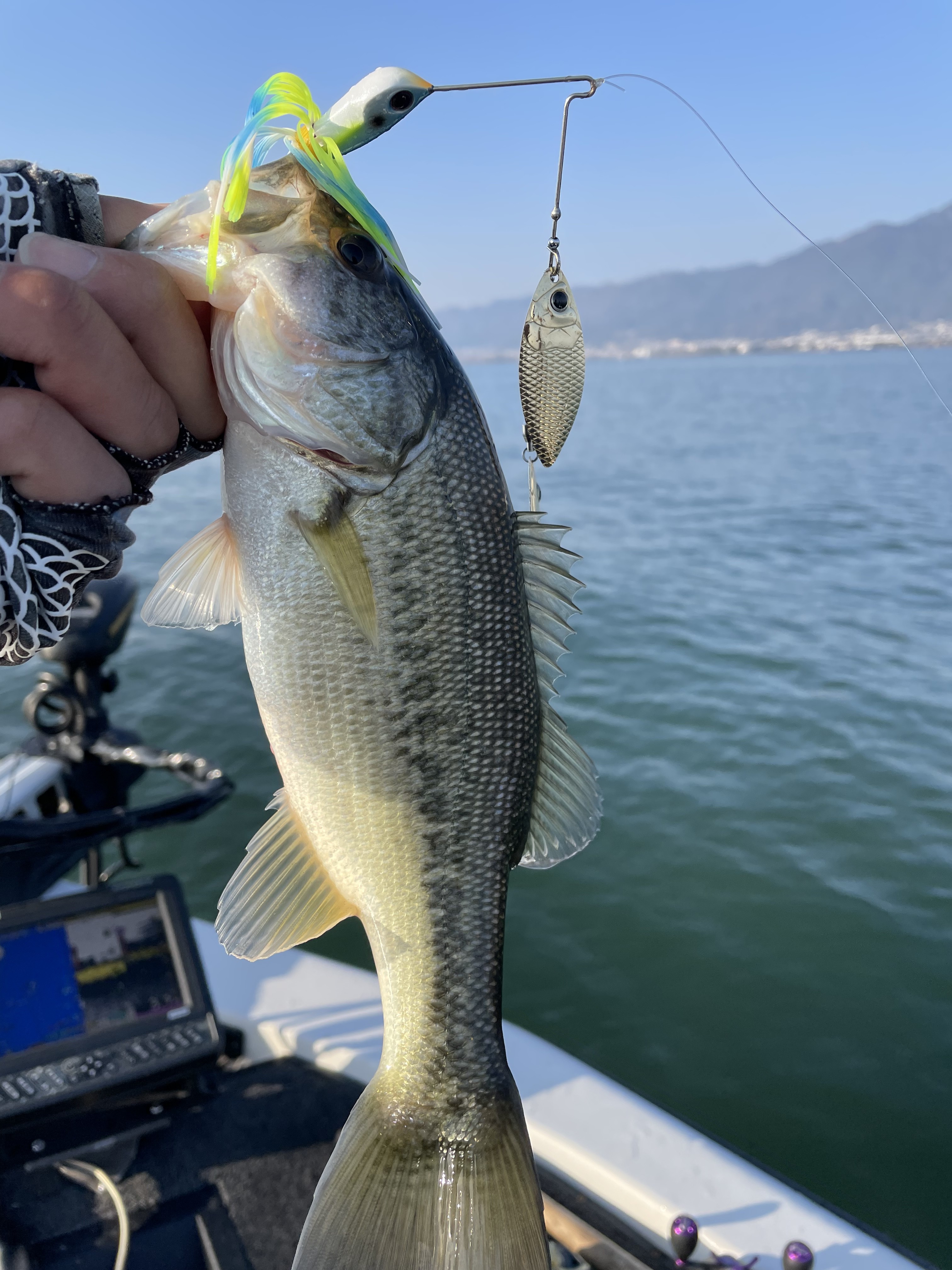 431B1147-7D83-4786-B122-341371E80F9C