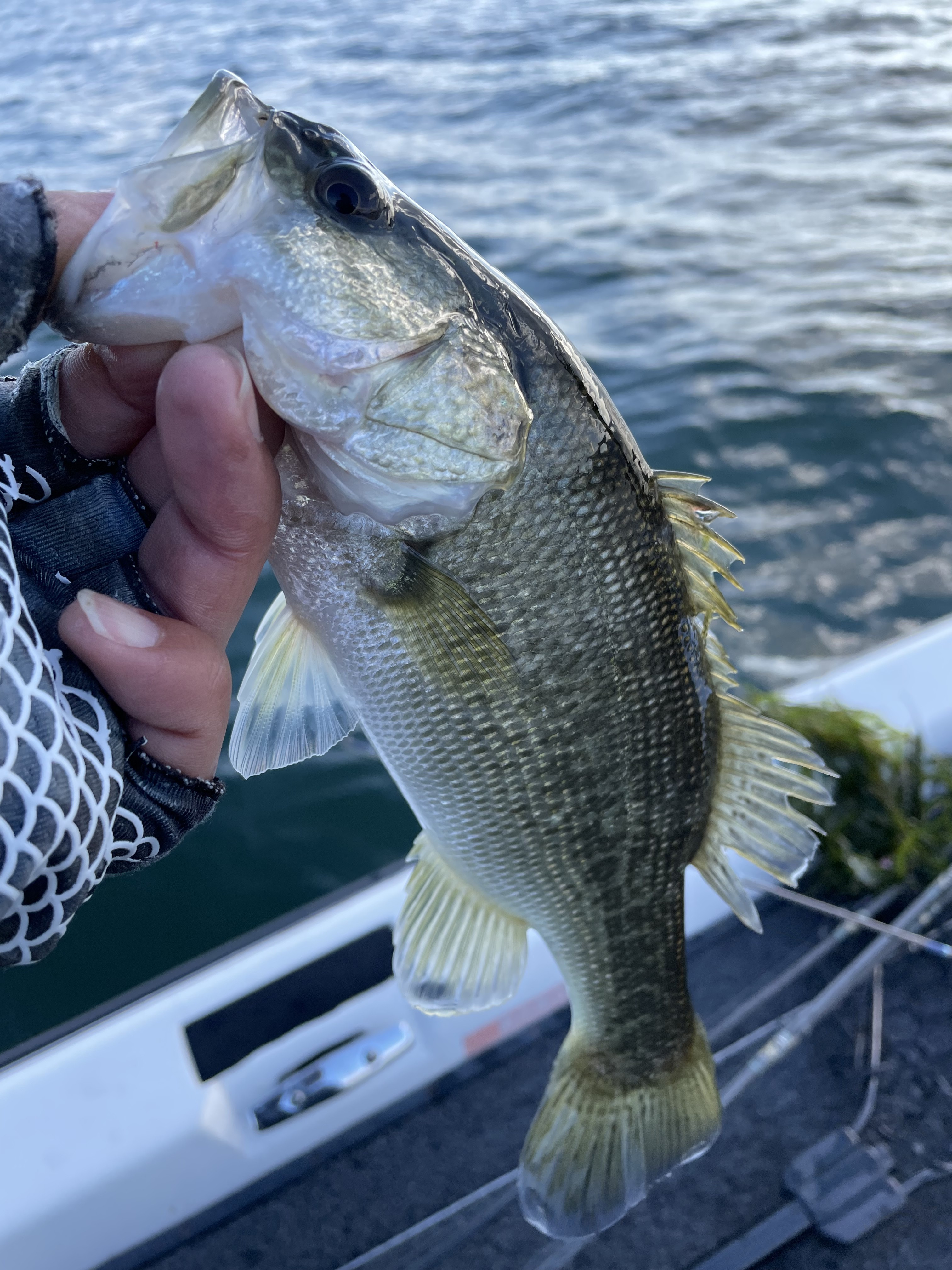 579E65DB-A988-4BB1-8E45-D88507708D46