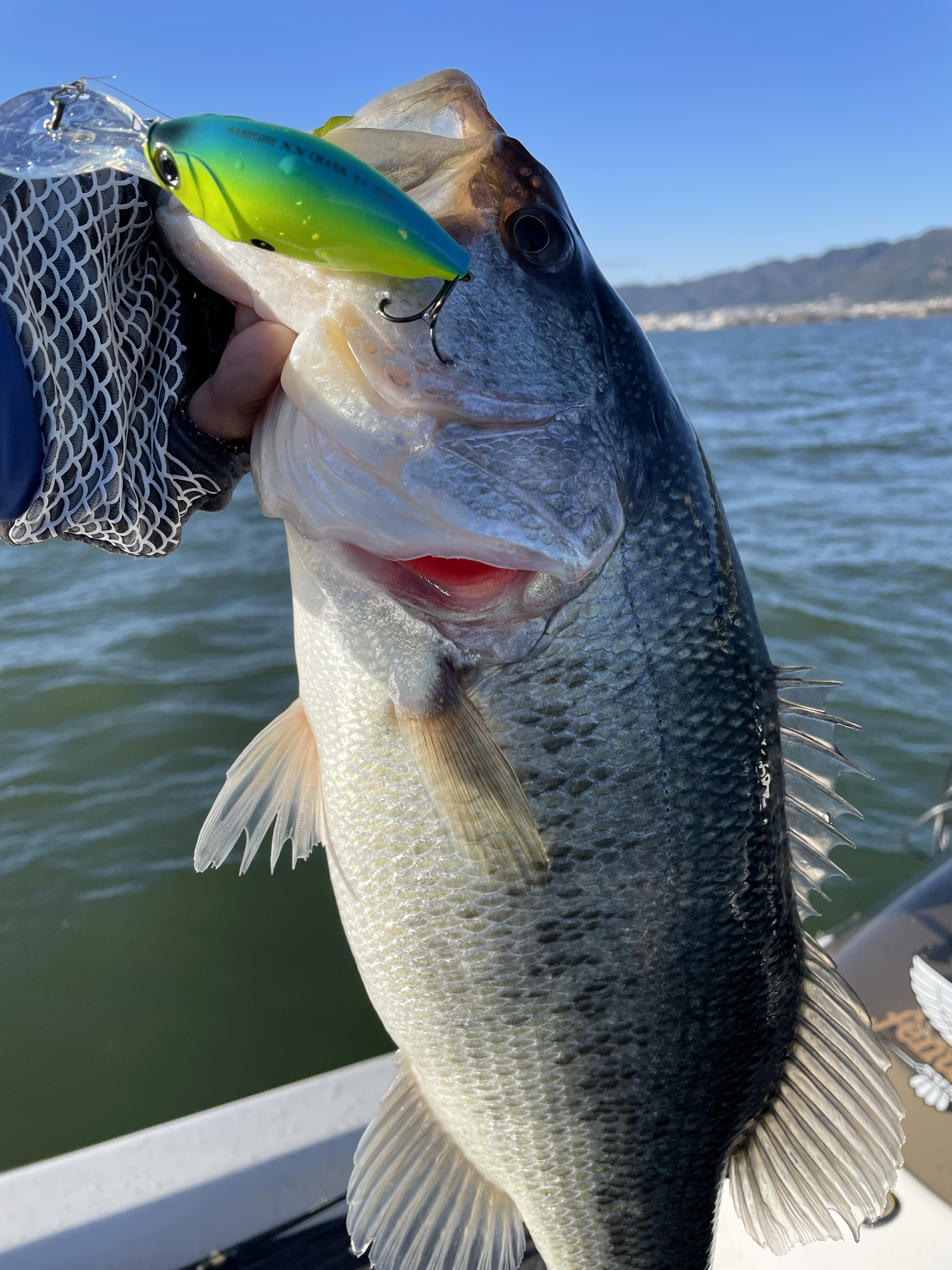 5BD60281-B9AB-47C0-ADB6-169F72F20A54