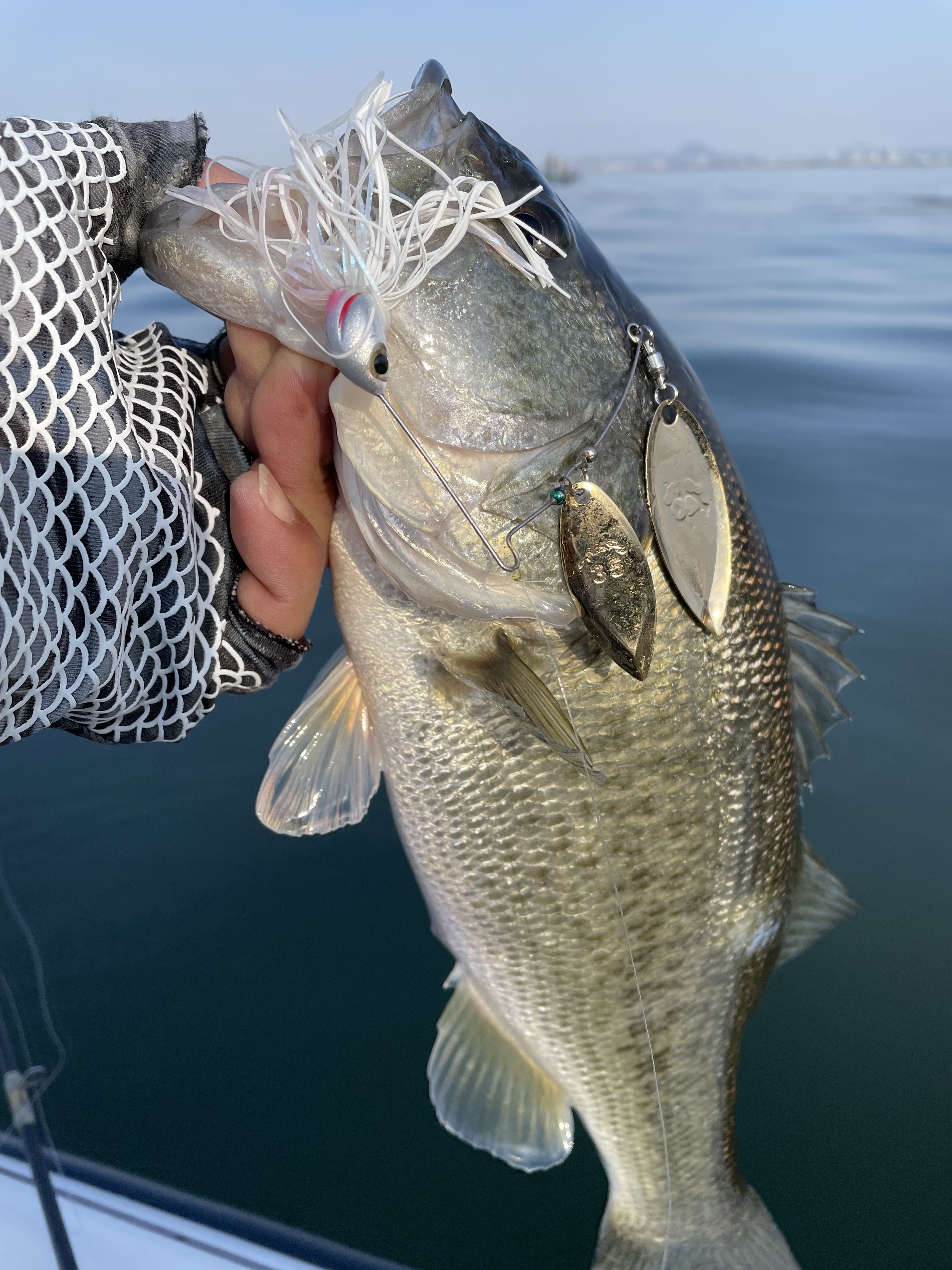 786E4DCE-97B0-4351-9E6D-6C4E25C040D9