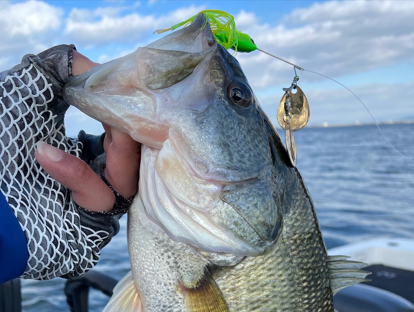 78B94247-27BF-41E5-BAD2-137DE6435165