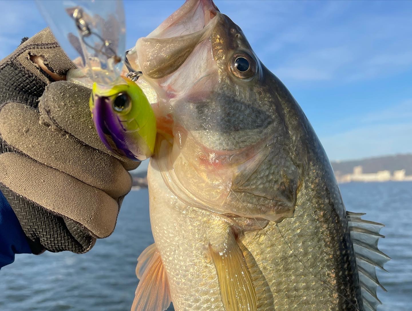 9453699D-7794-4006-9739-C64568881CF4