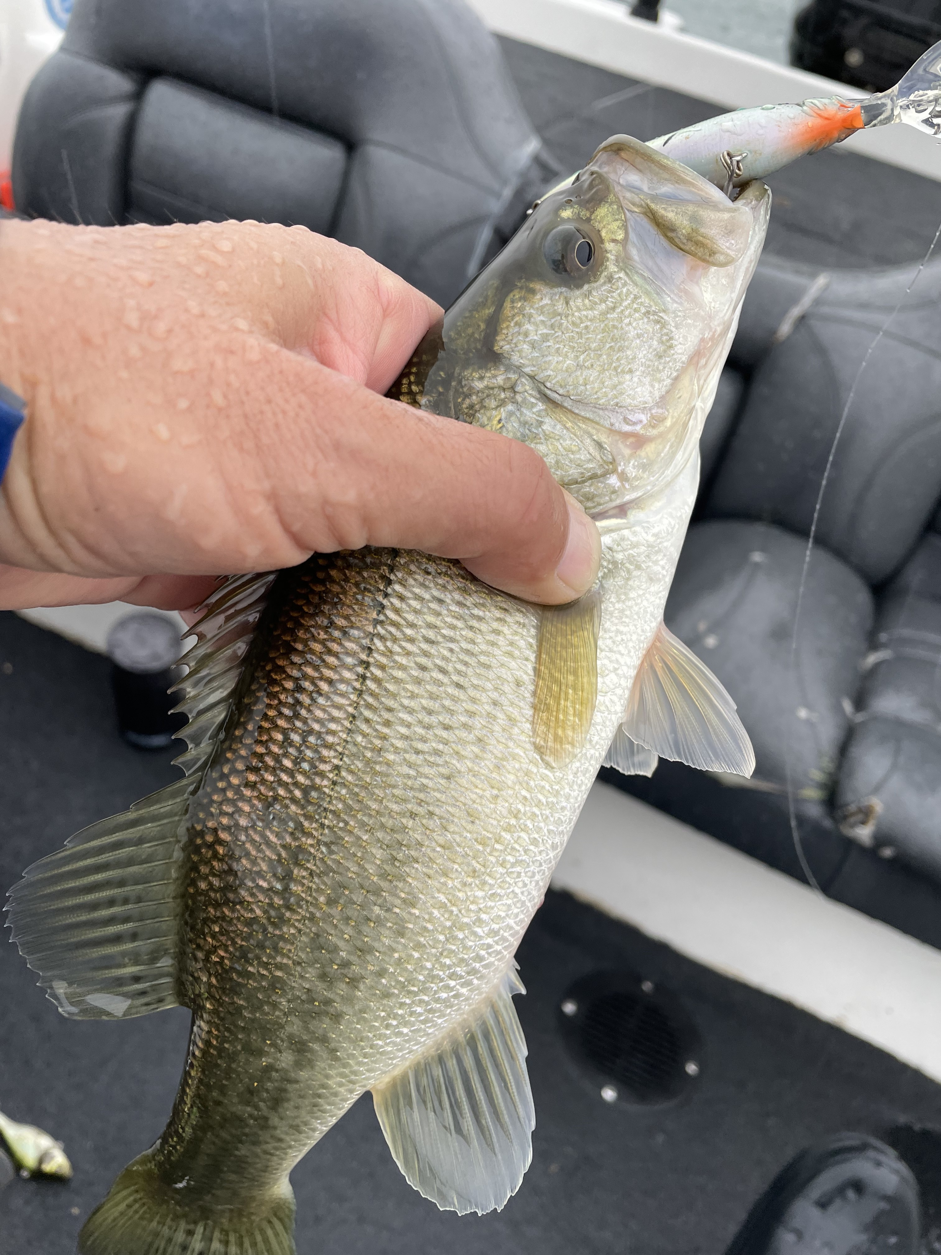 988D553E-AD1F-46CA-9C4D-CCD5756F5CA7