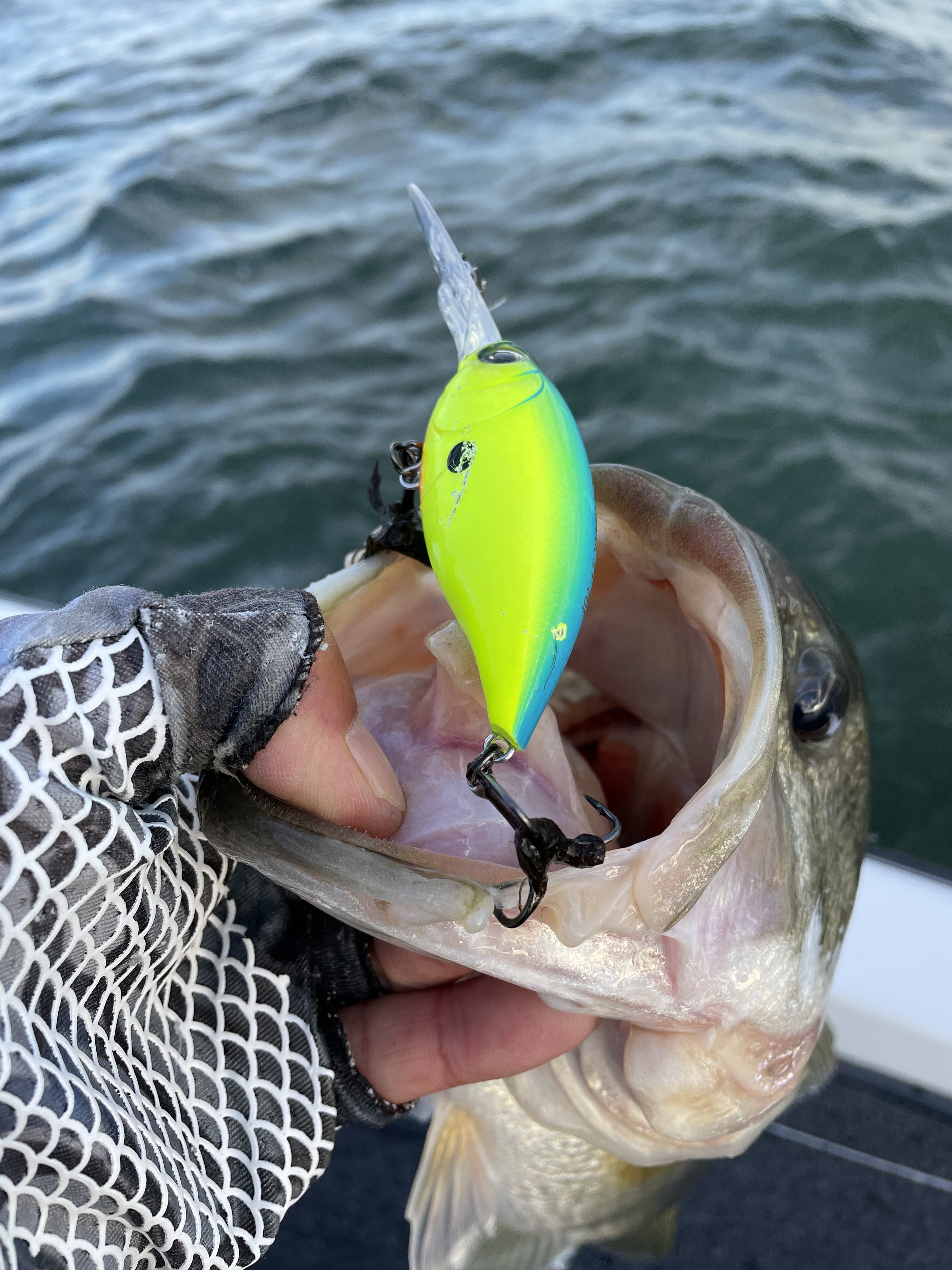 B48CDDBC-FA5F-48FA-9BEC-16C8F9D92406