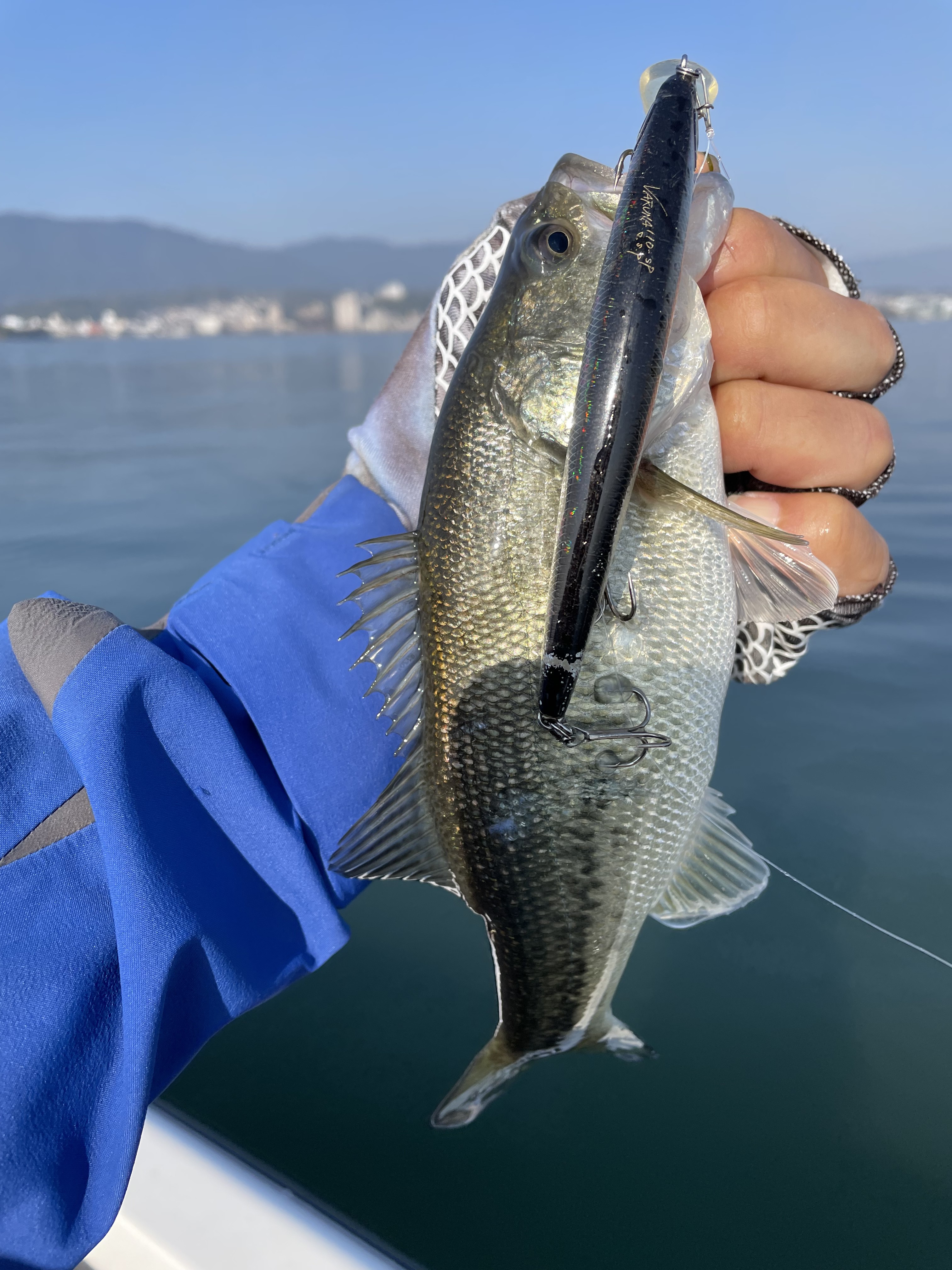 BF98E7C3-33A8-4791-8DFD-AA6F555F930D