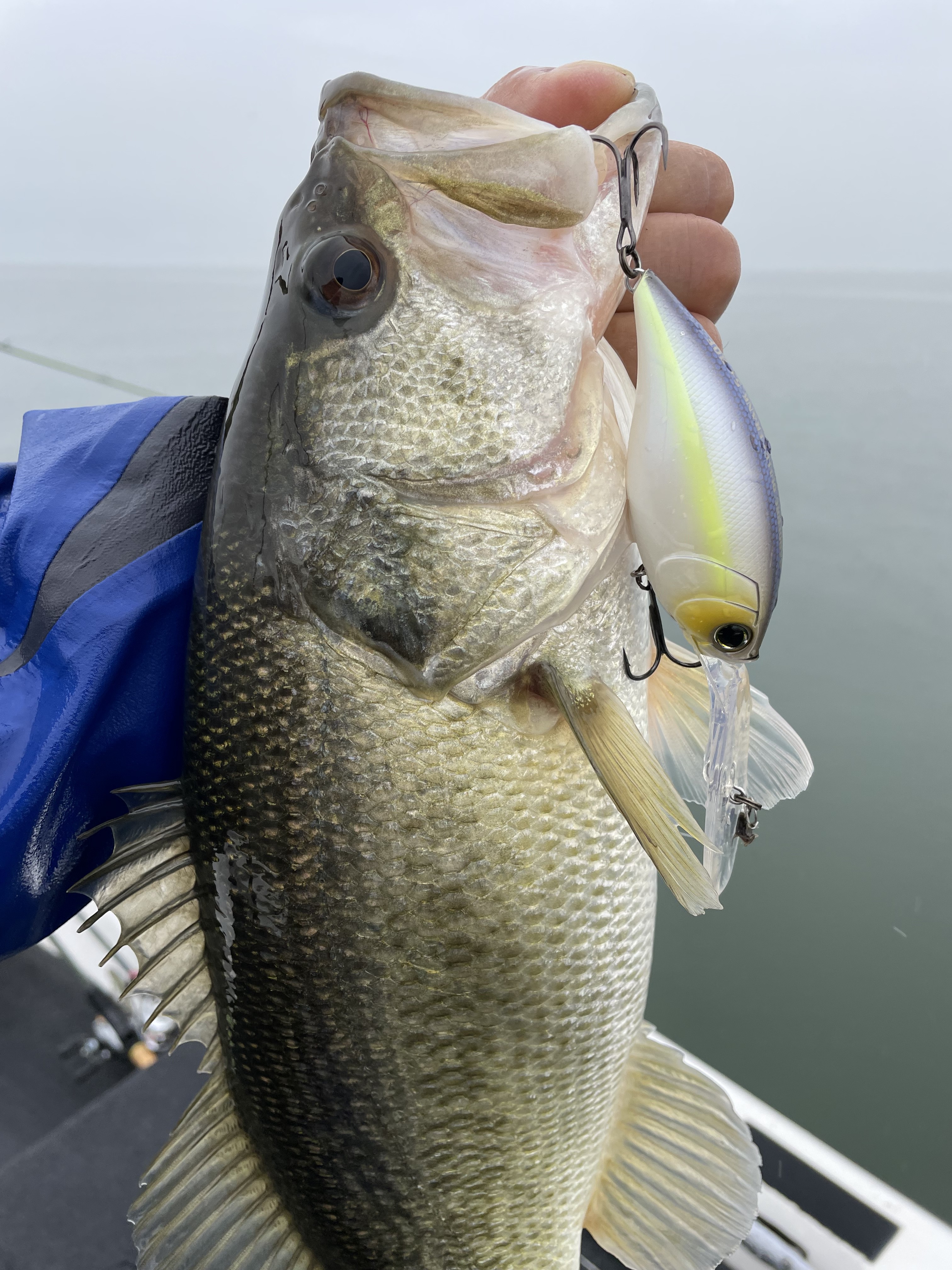 C2331A00-C731-4B62-8894-7C2D49B74BC1