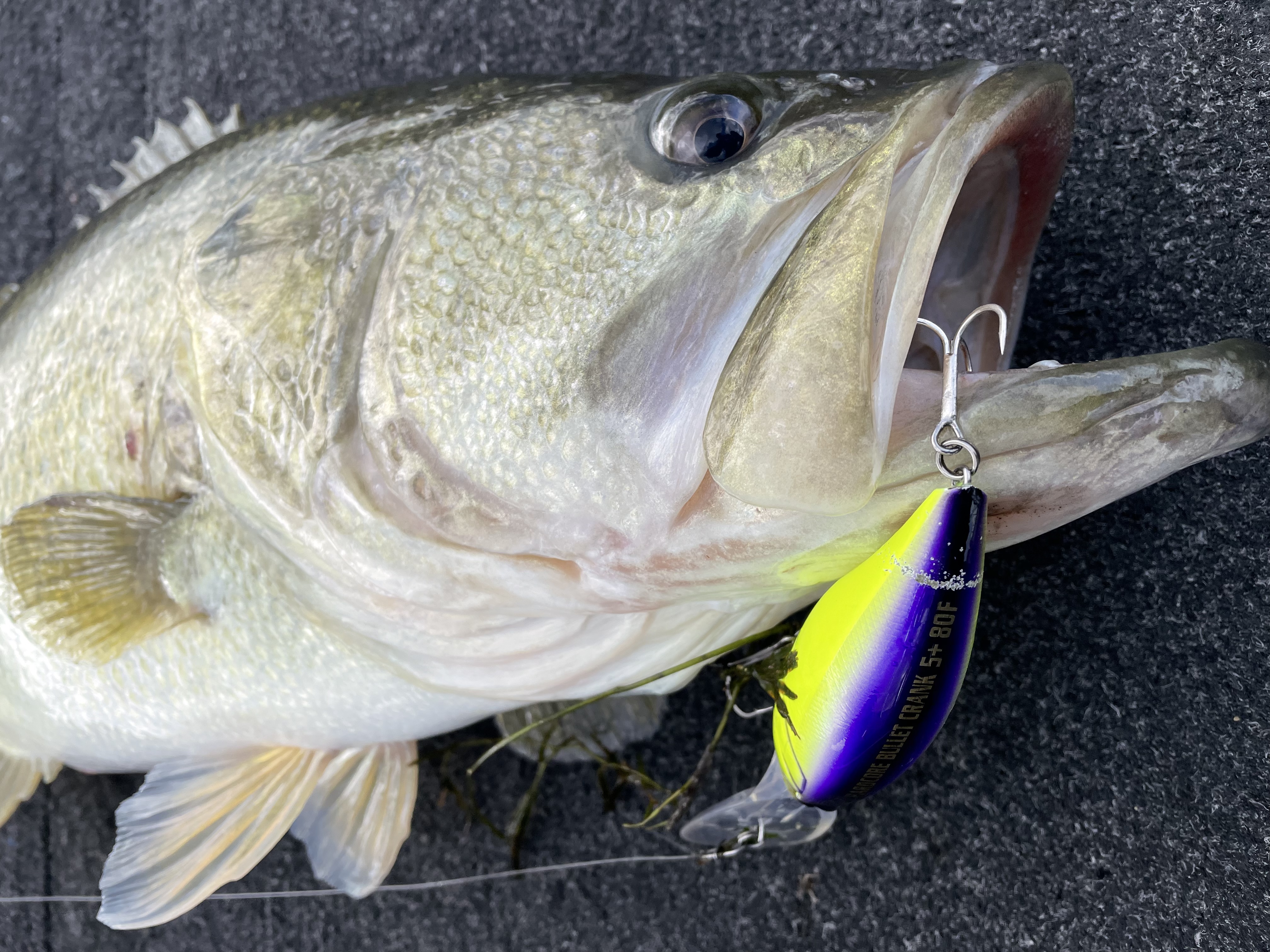 D17FDC5B-8357-48E0-B3E8-FD71C8462ACD