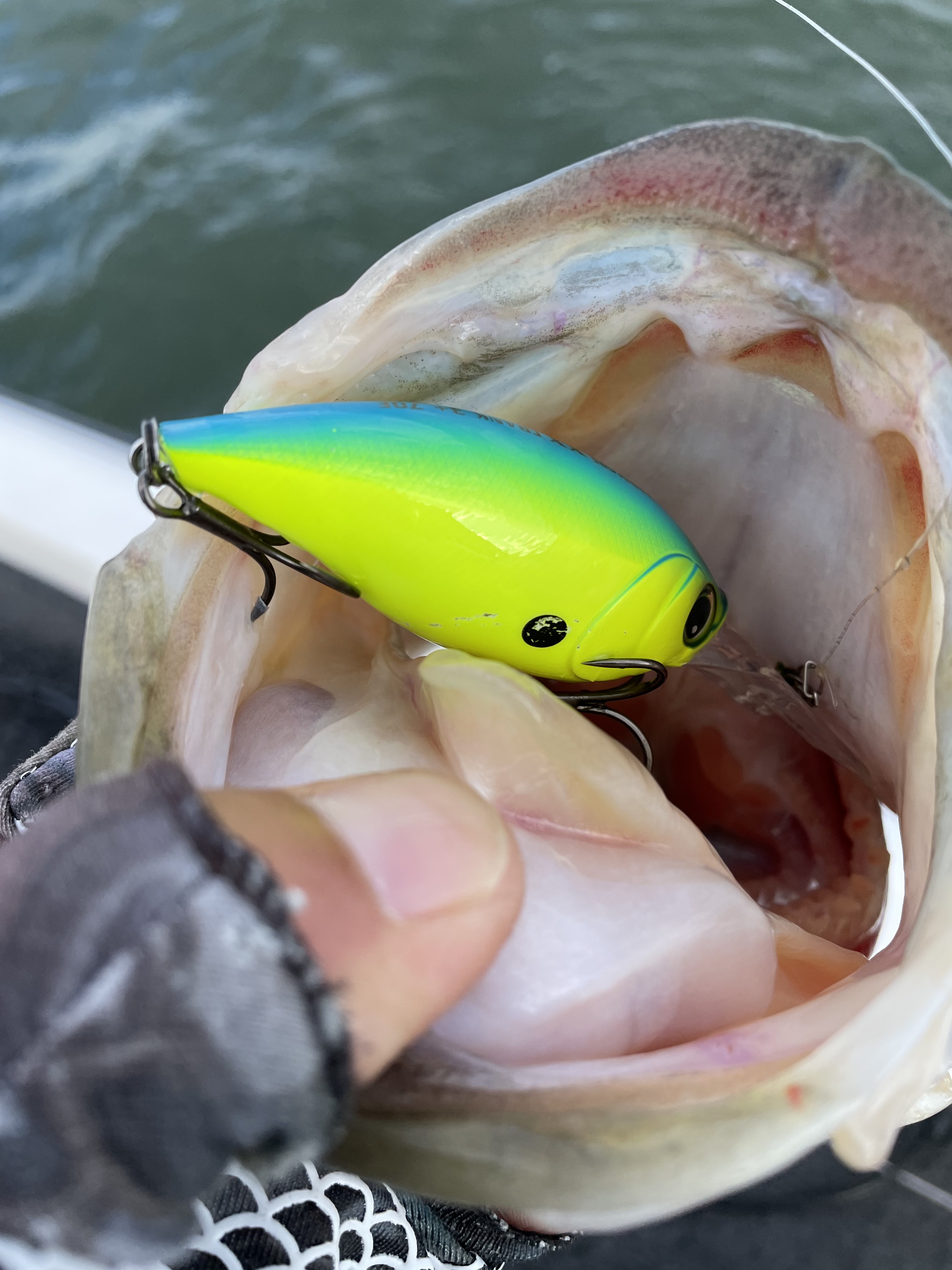 E426FAED-CBD4-4363-A5EB-FAE84FE3438C