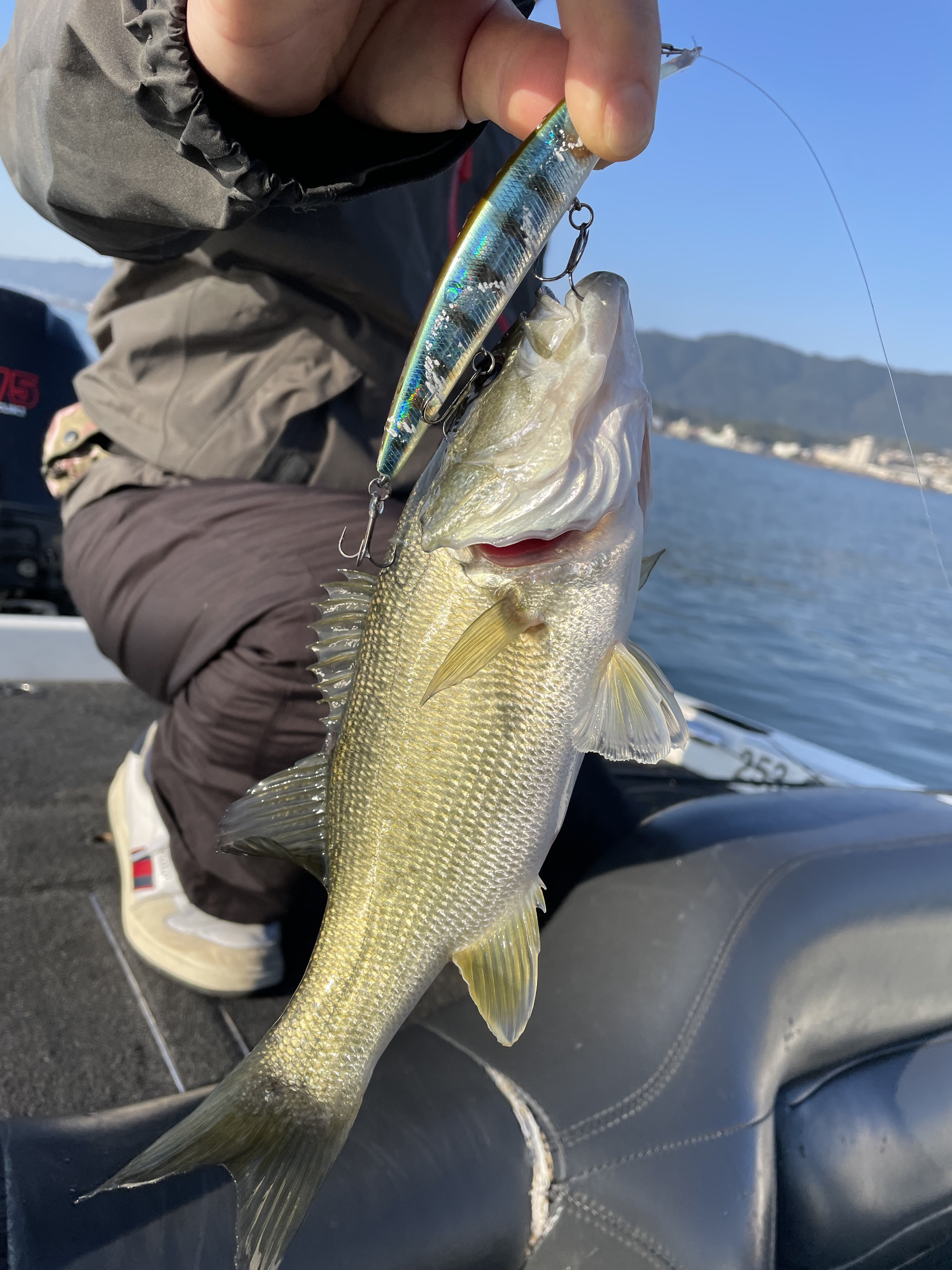 E7A20054-E0CC-4808-9AA0-EF3216B244AB