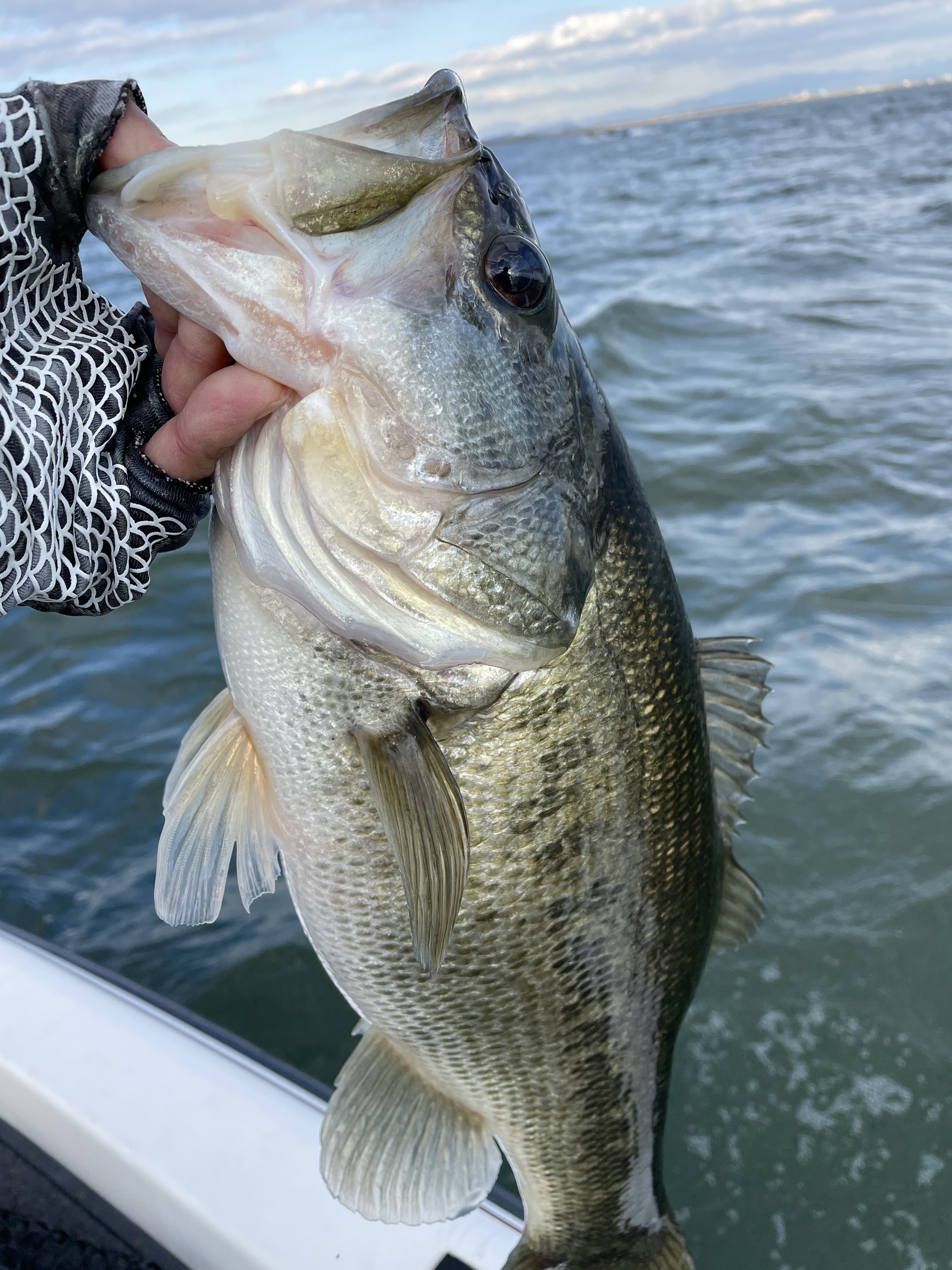 EDAEFF1E-DD7F-4C30-AC32-CDCF22BD1232