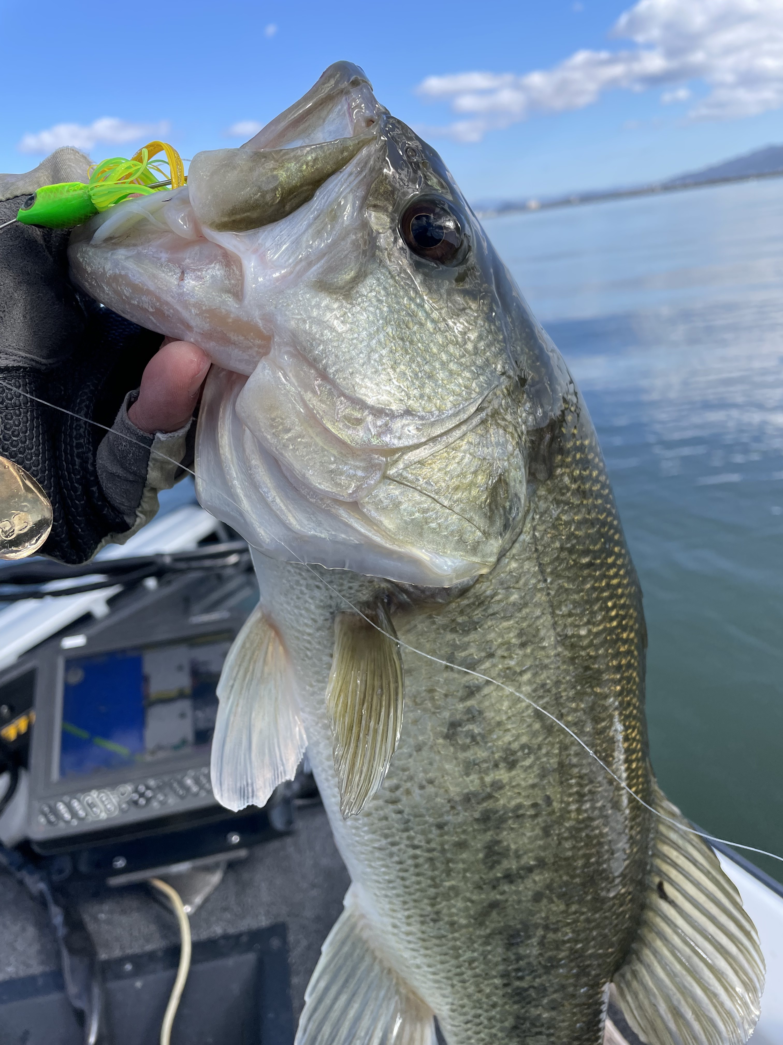 010CA198-5FA5-48CF-B745-49BAAEC87EE8