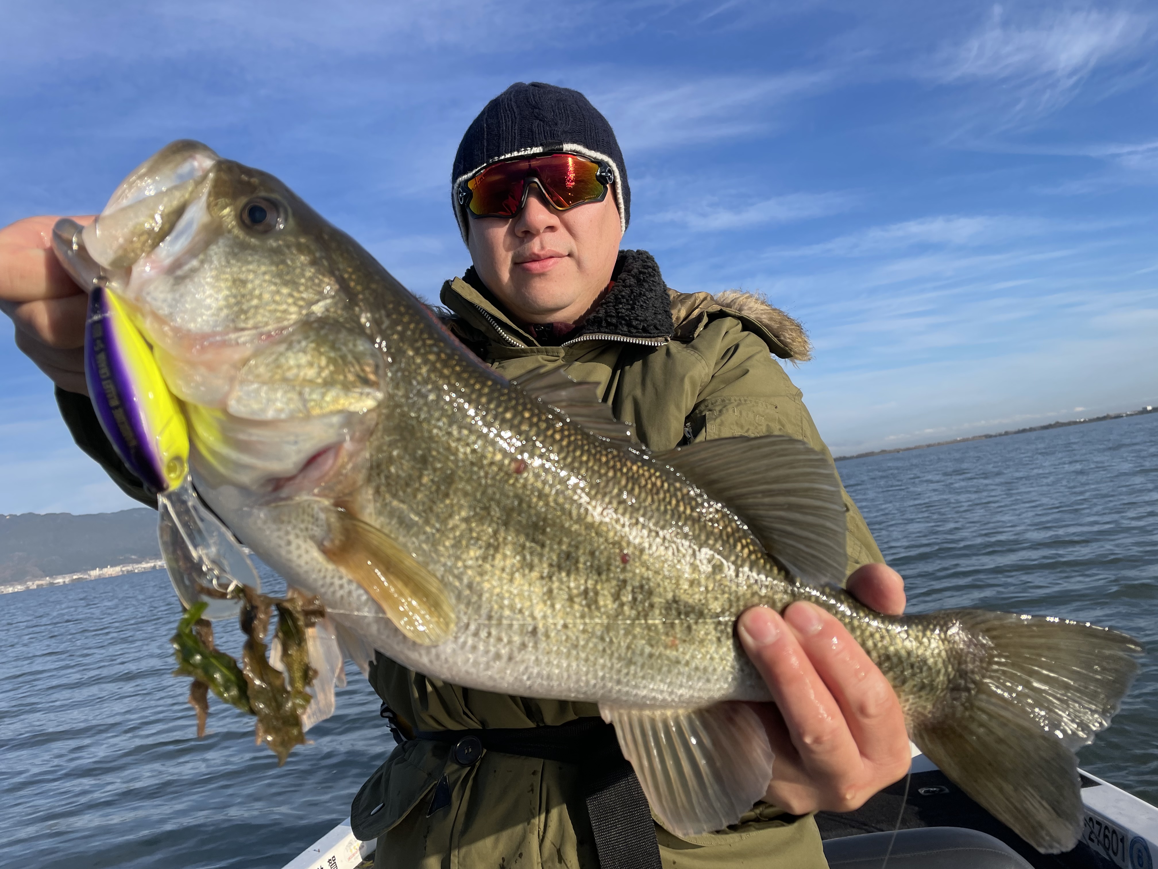 A3B1B62F-68B1-491C-AA8E-A46C33DE0E06