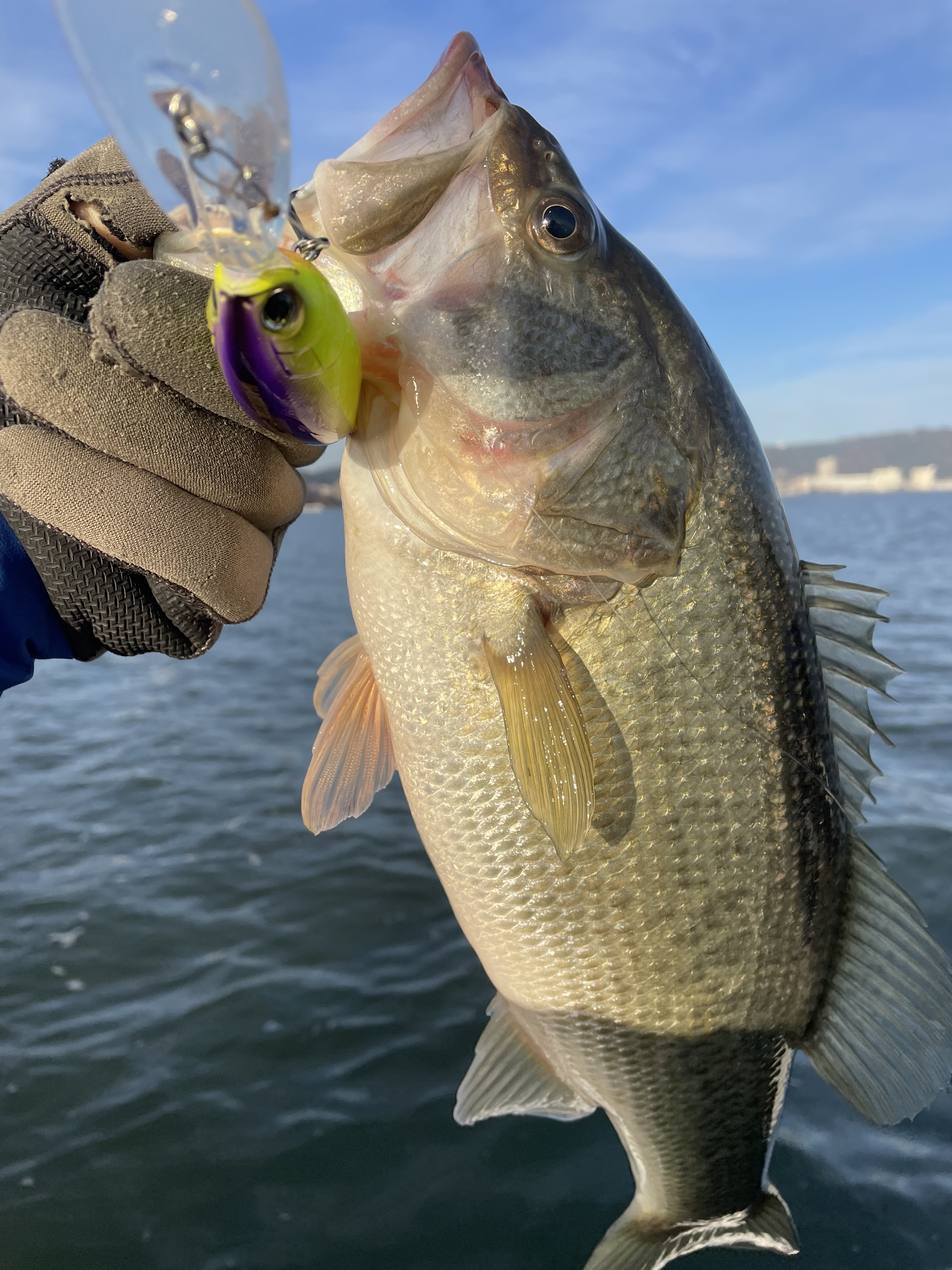 AFCD253F-8EED-4066-A1BE-08366332774C