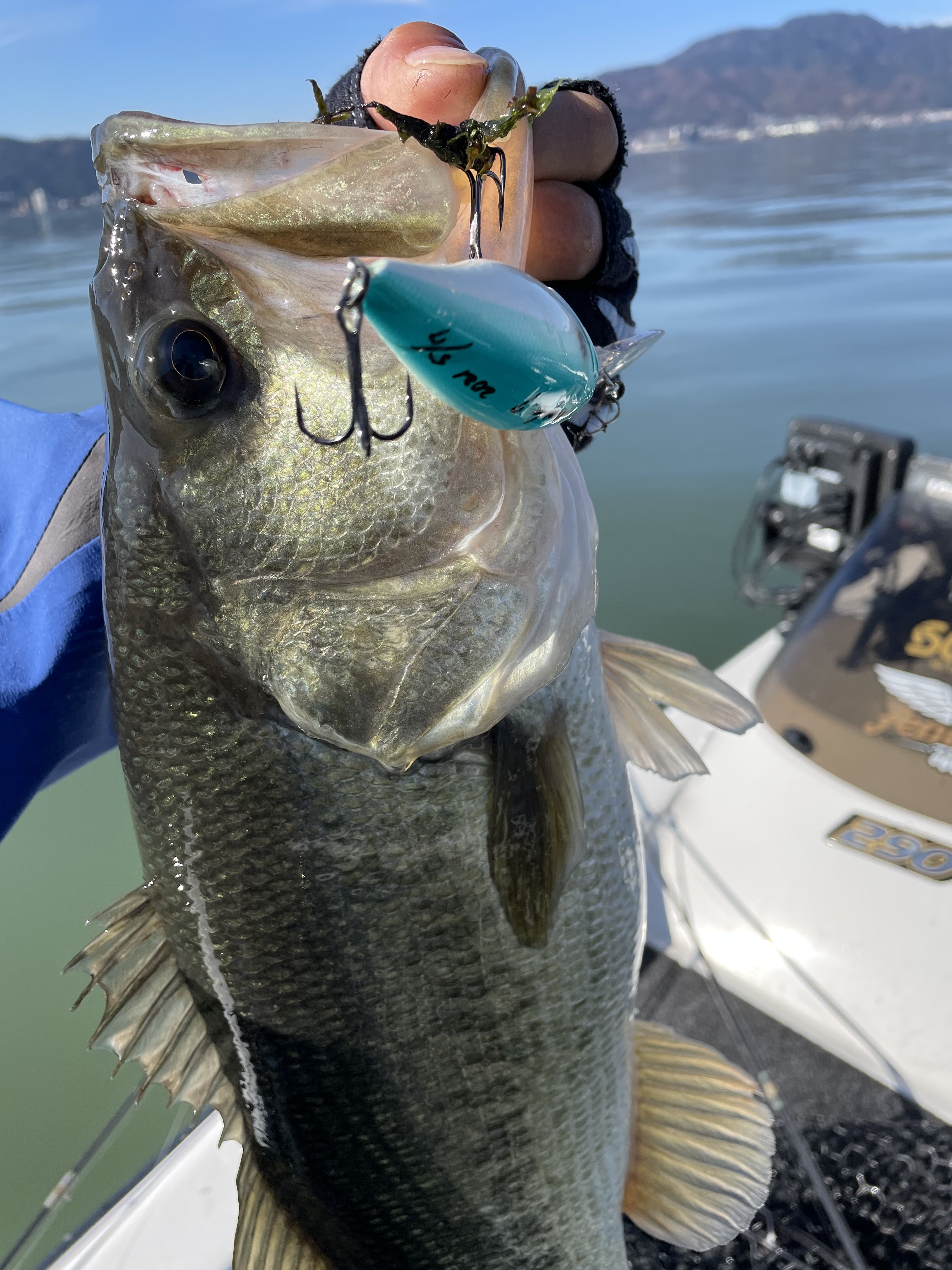 C5AE5D02-683C-4481-B63D-32F688E8D04E