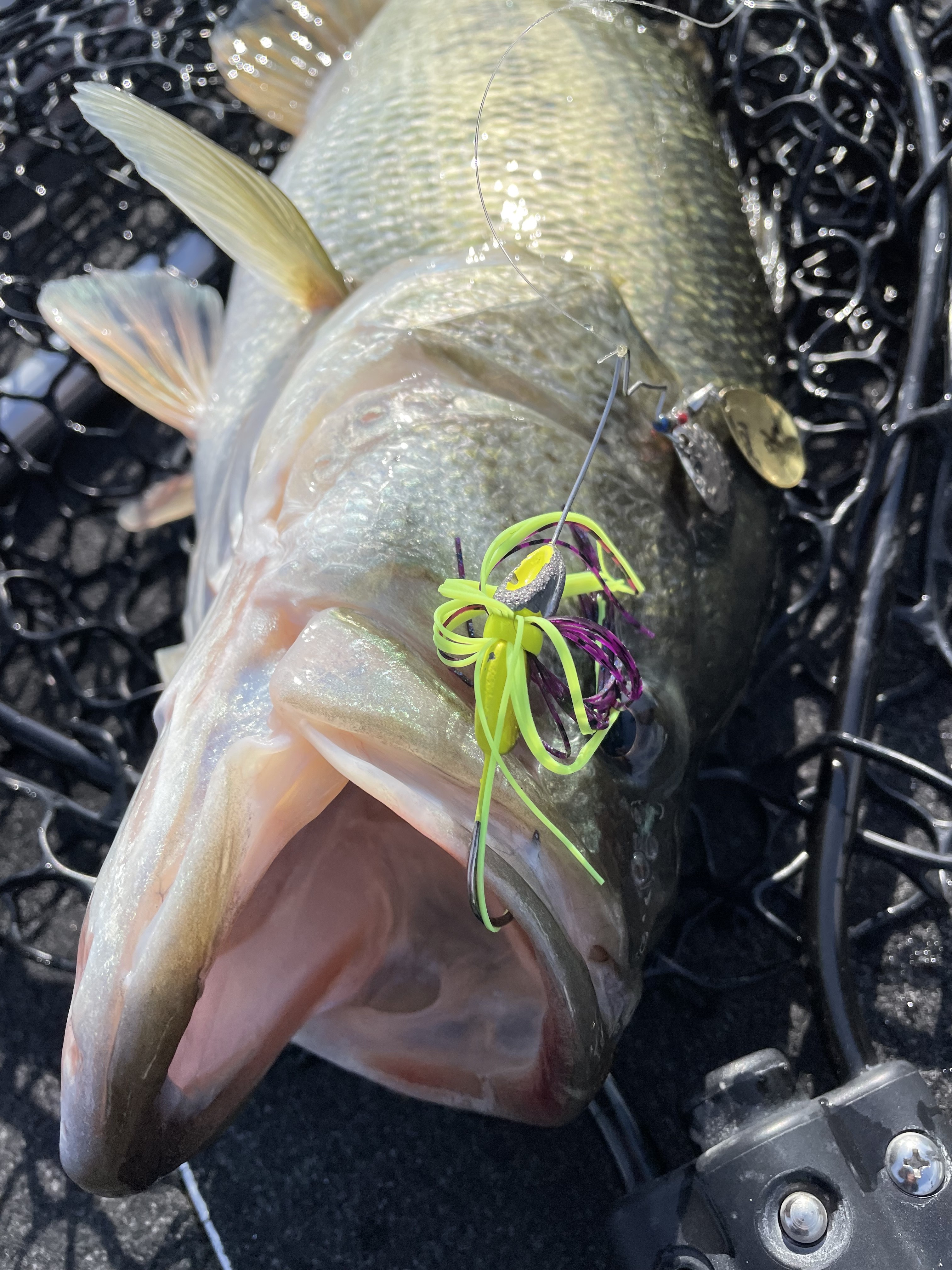 B635FA46-2A08-4EBB-953D-B78FE98BFCE5