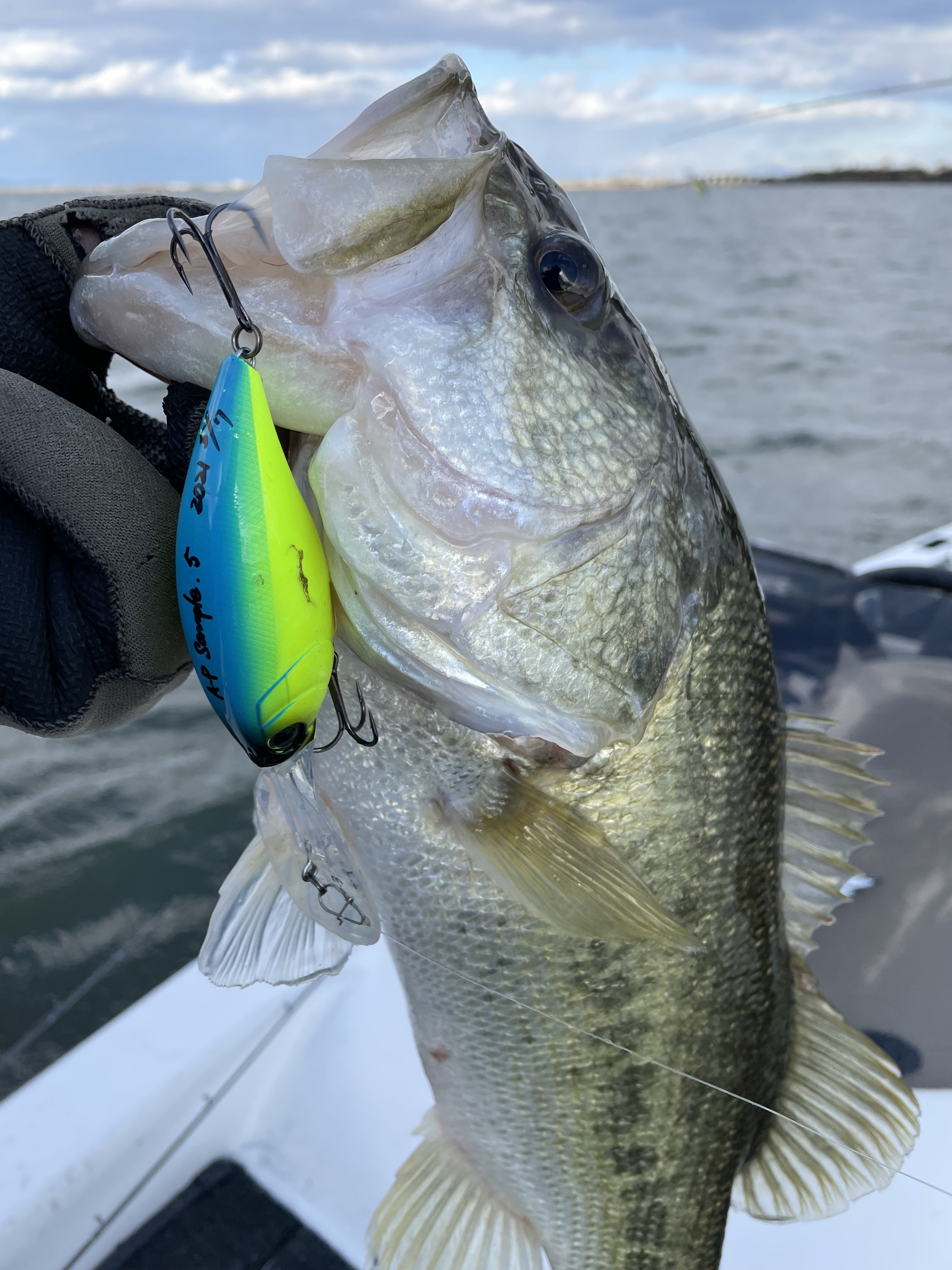 D51A2DA0-A1AF-4123-81A4-6B2540A13D49