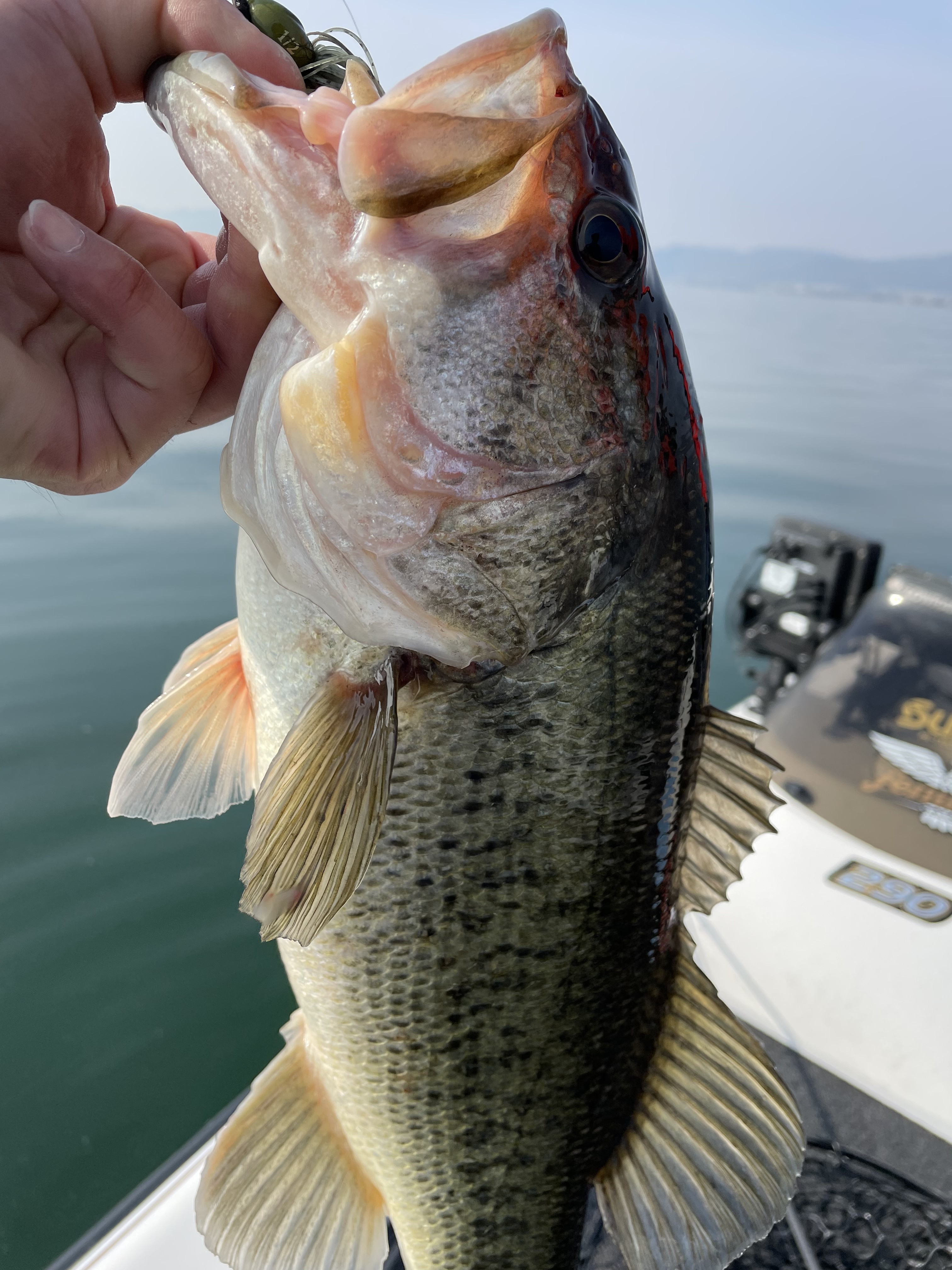 0F130249-545B-4426-B088-0FFCE5EA3A95