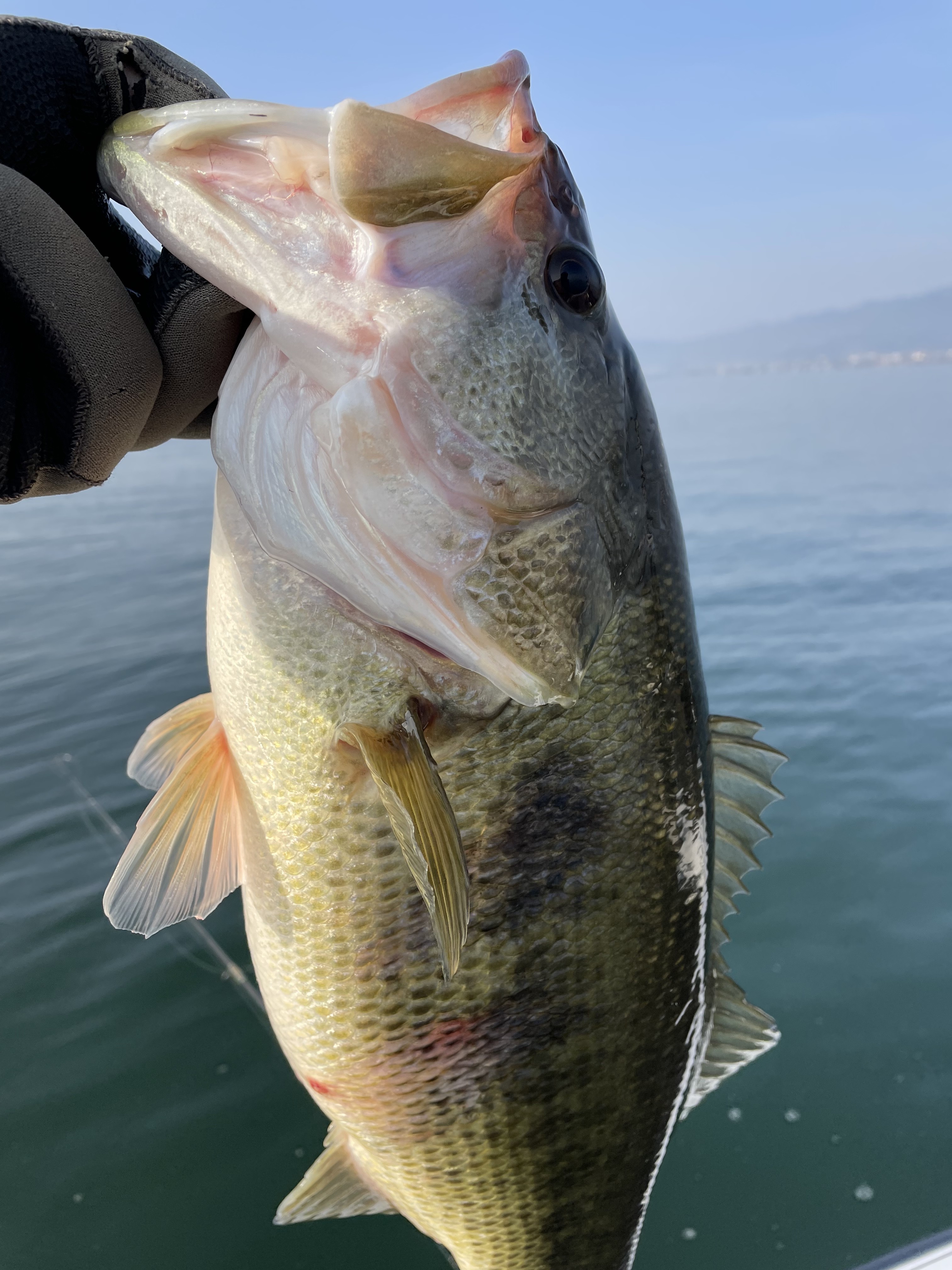 8ADD2855-BC30-4C88-A958-6ACC0A1B4D0A