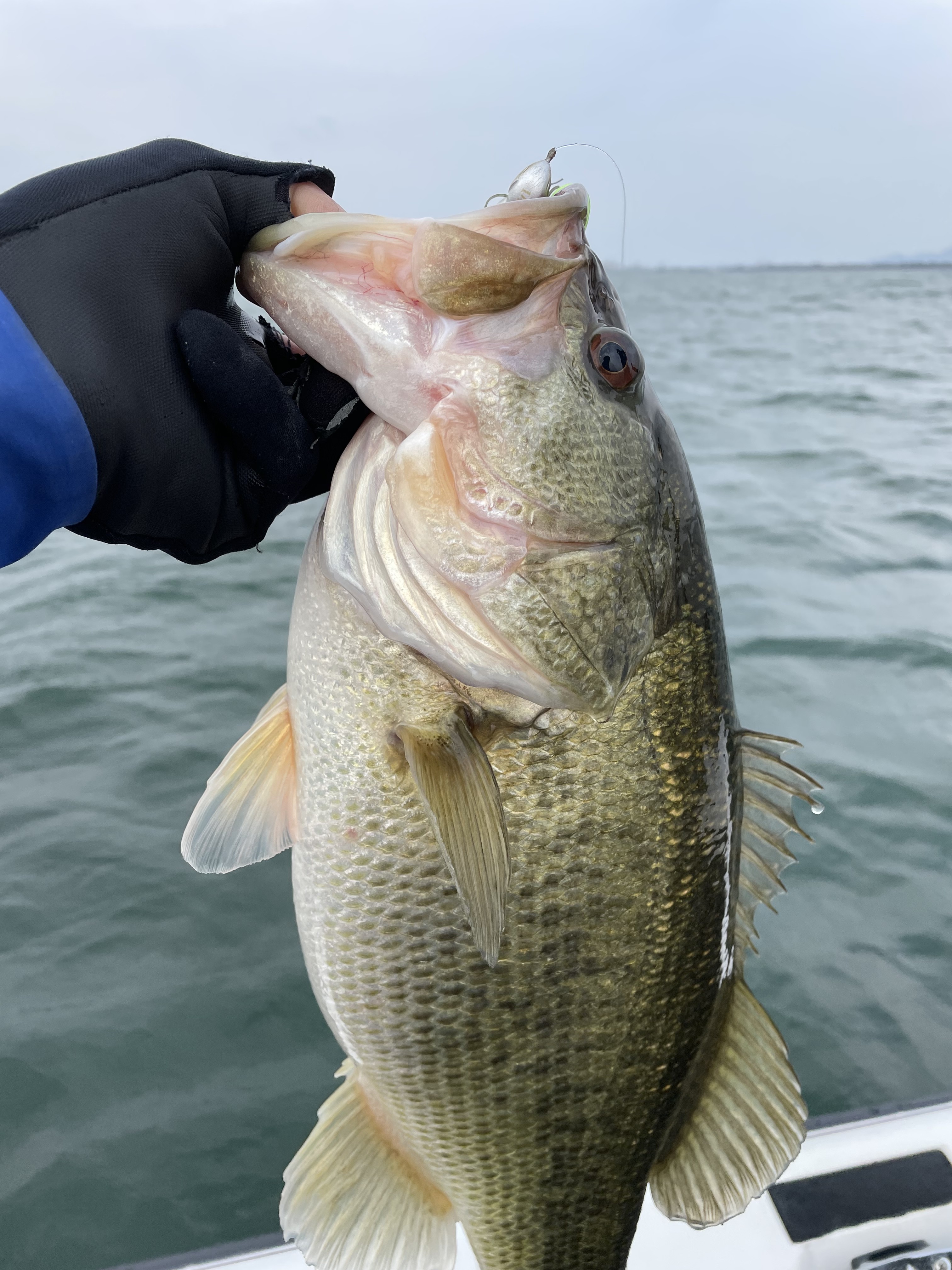 ED89E243-E29A-4A30-B6E9-1AE67A659FFB